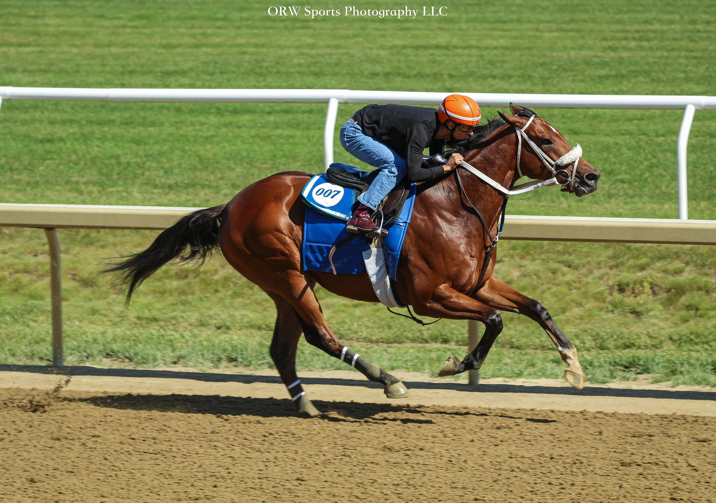 Speightful Storm and Edgard Zayas 