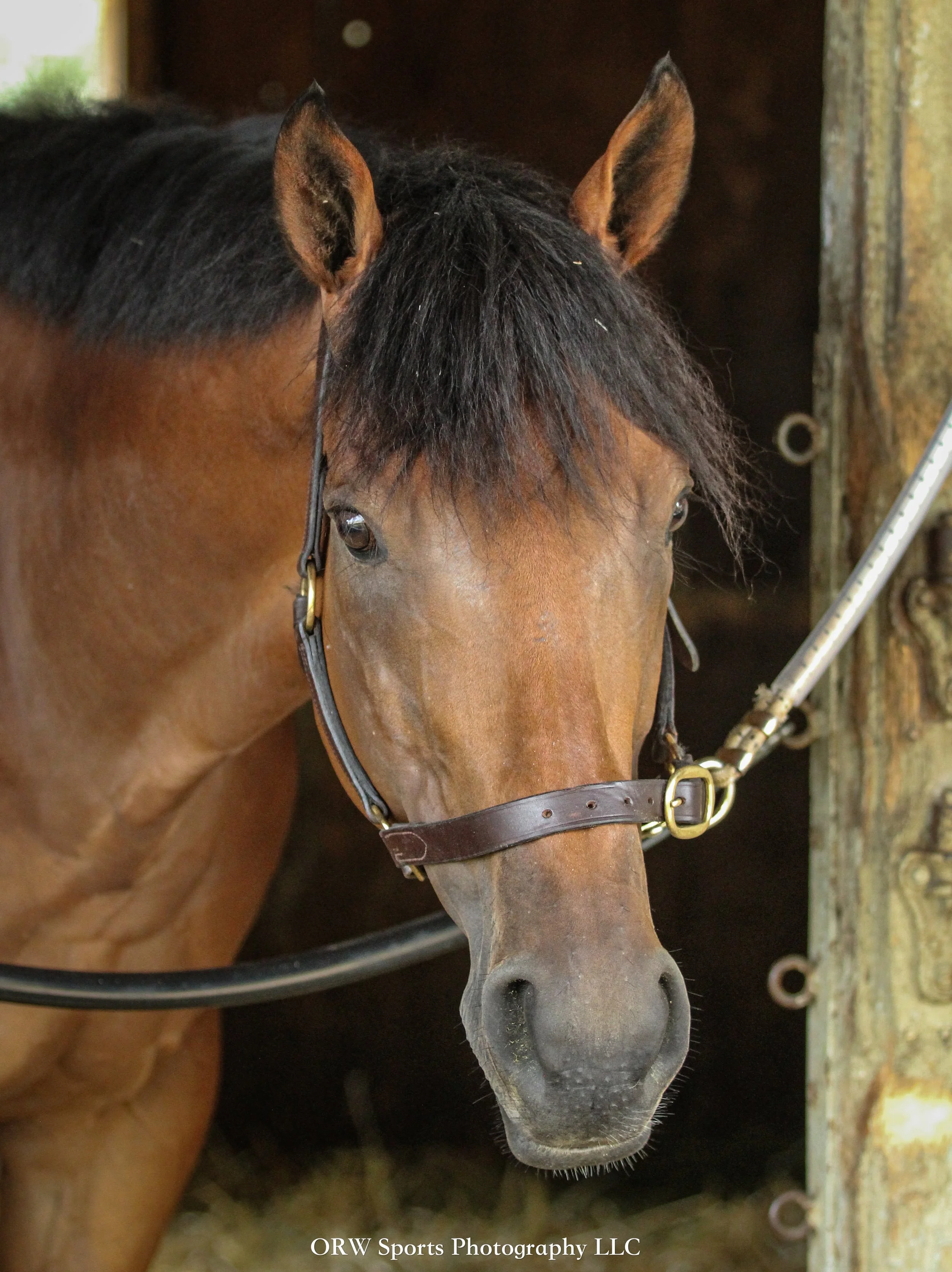 Lord Flintshire