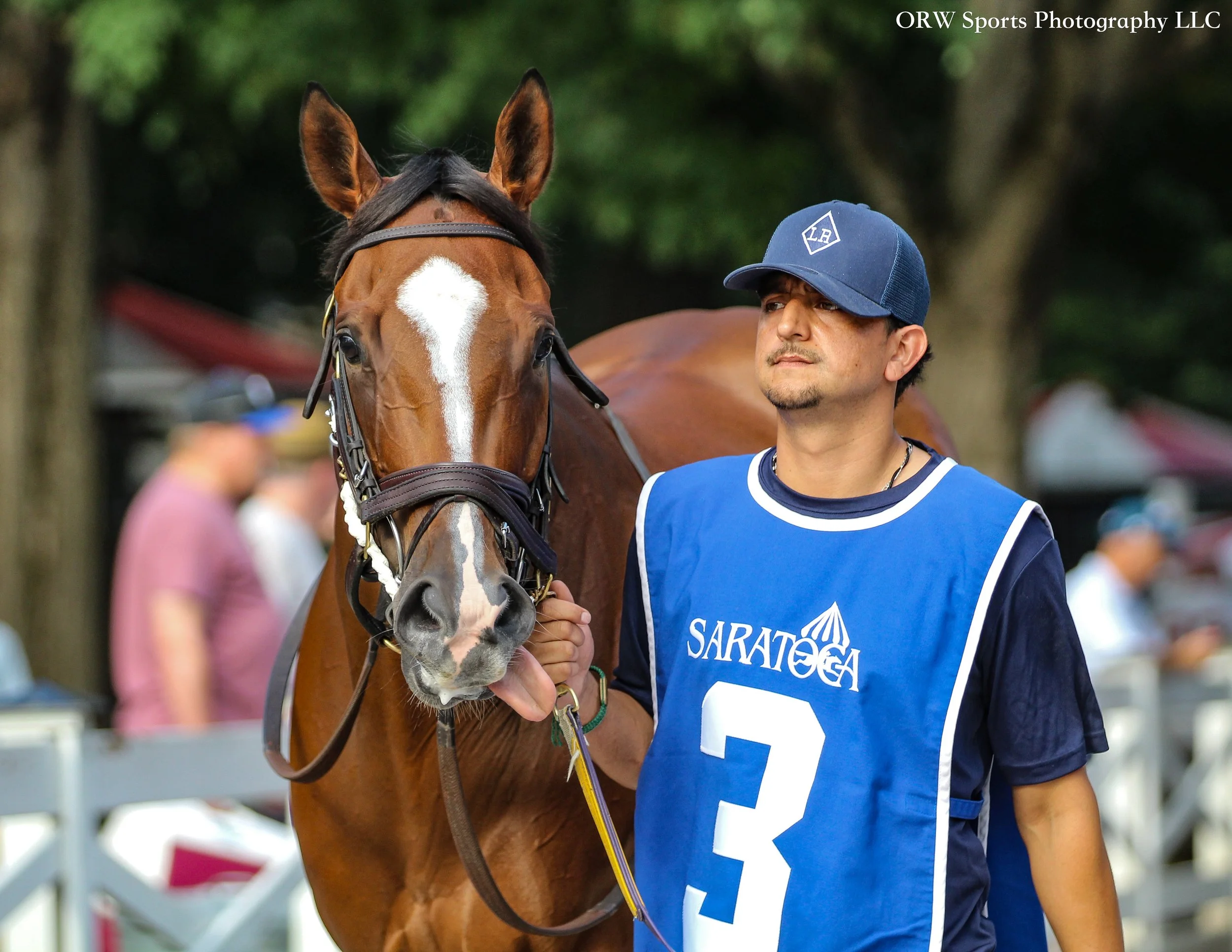Munnings Express 