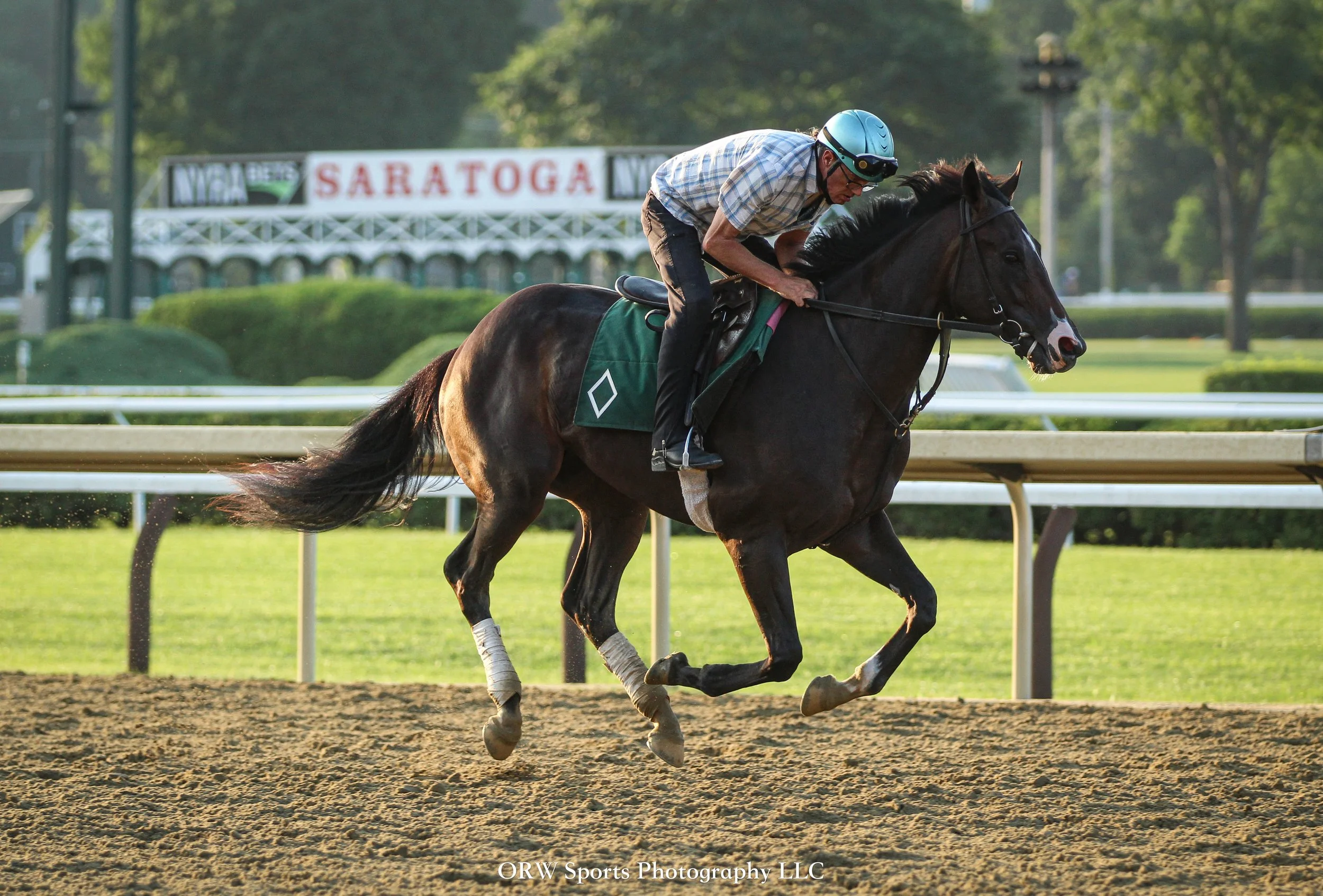 Bill Mott Trainee