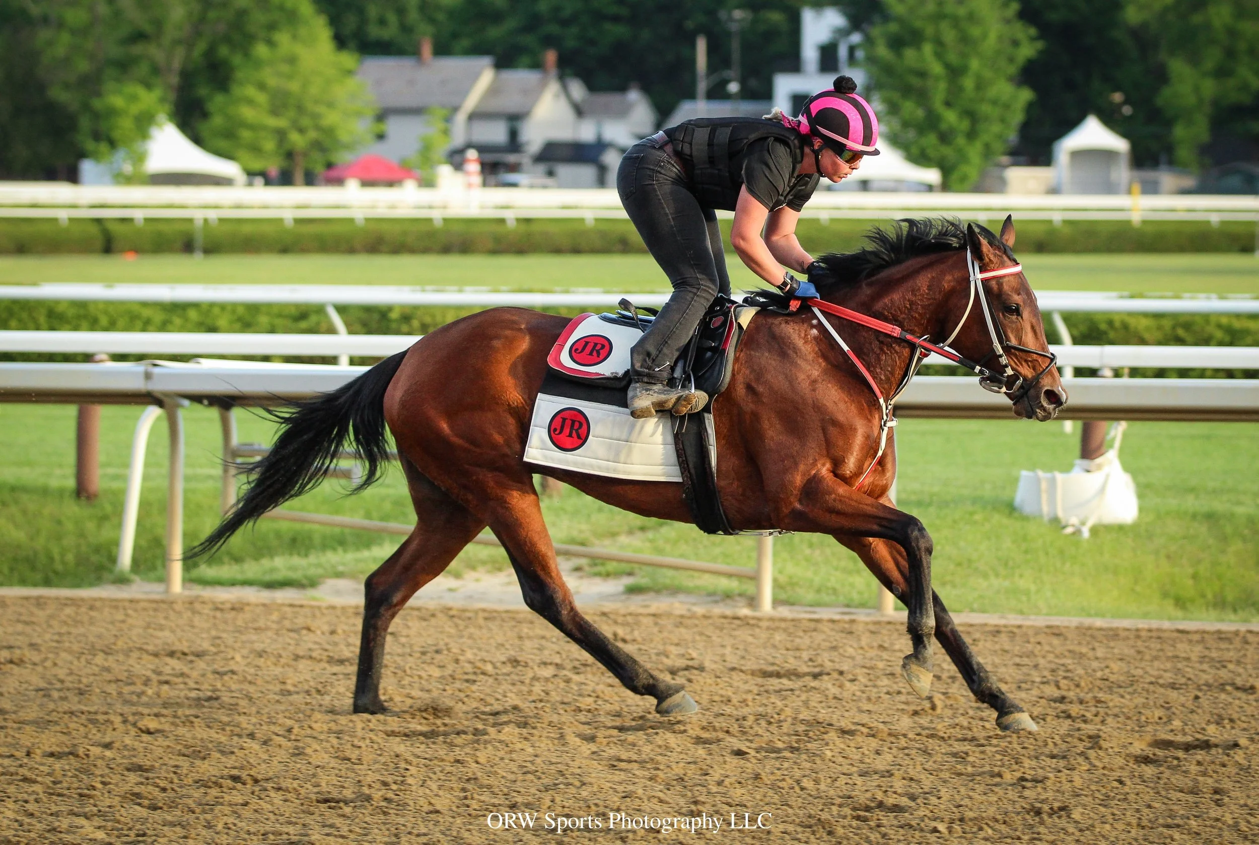 Robert Falcone Trainee 
