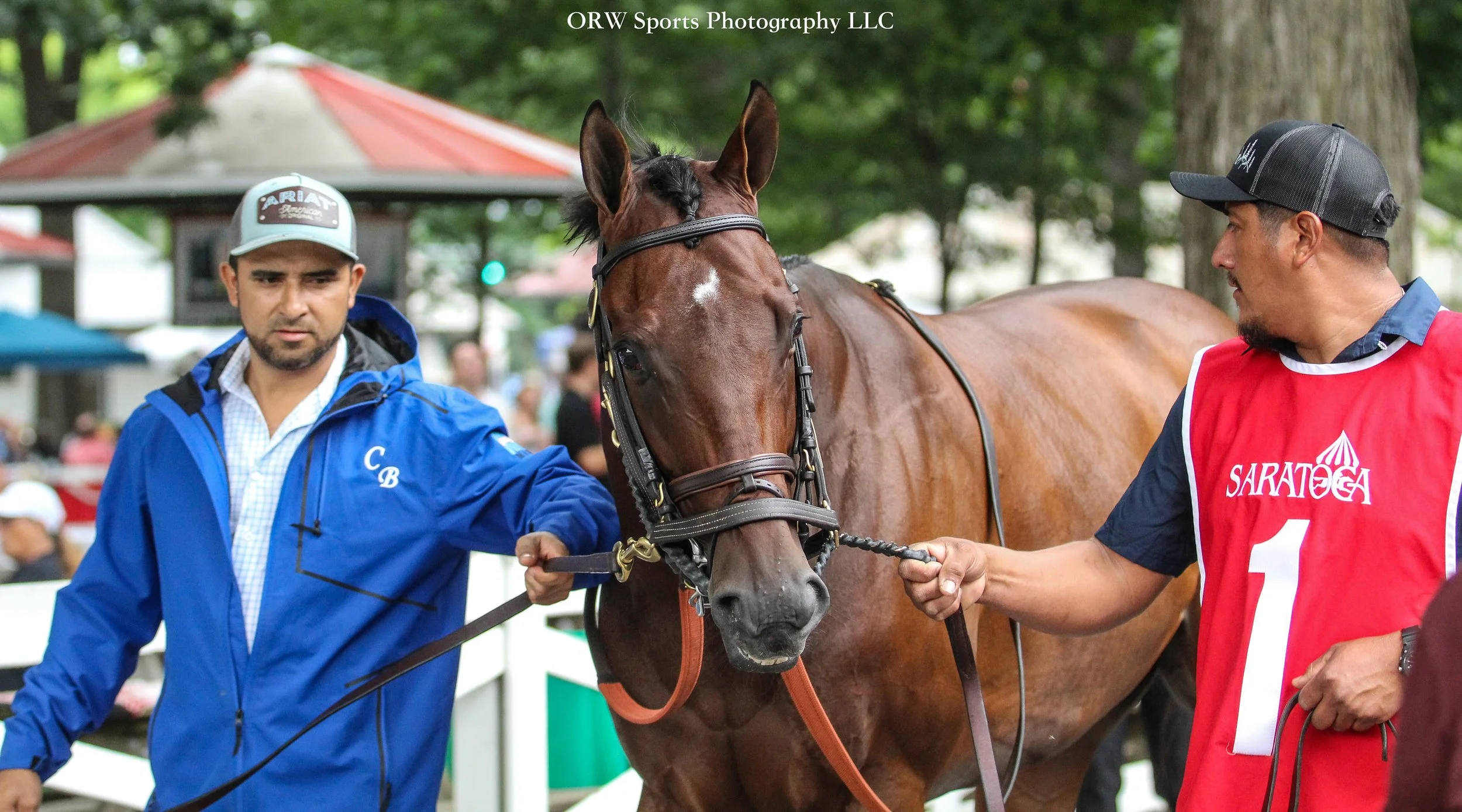 Creditworthy 