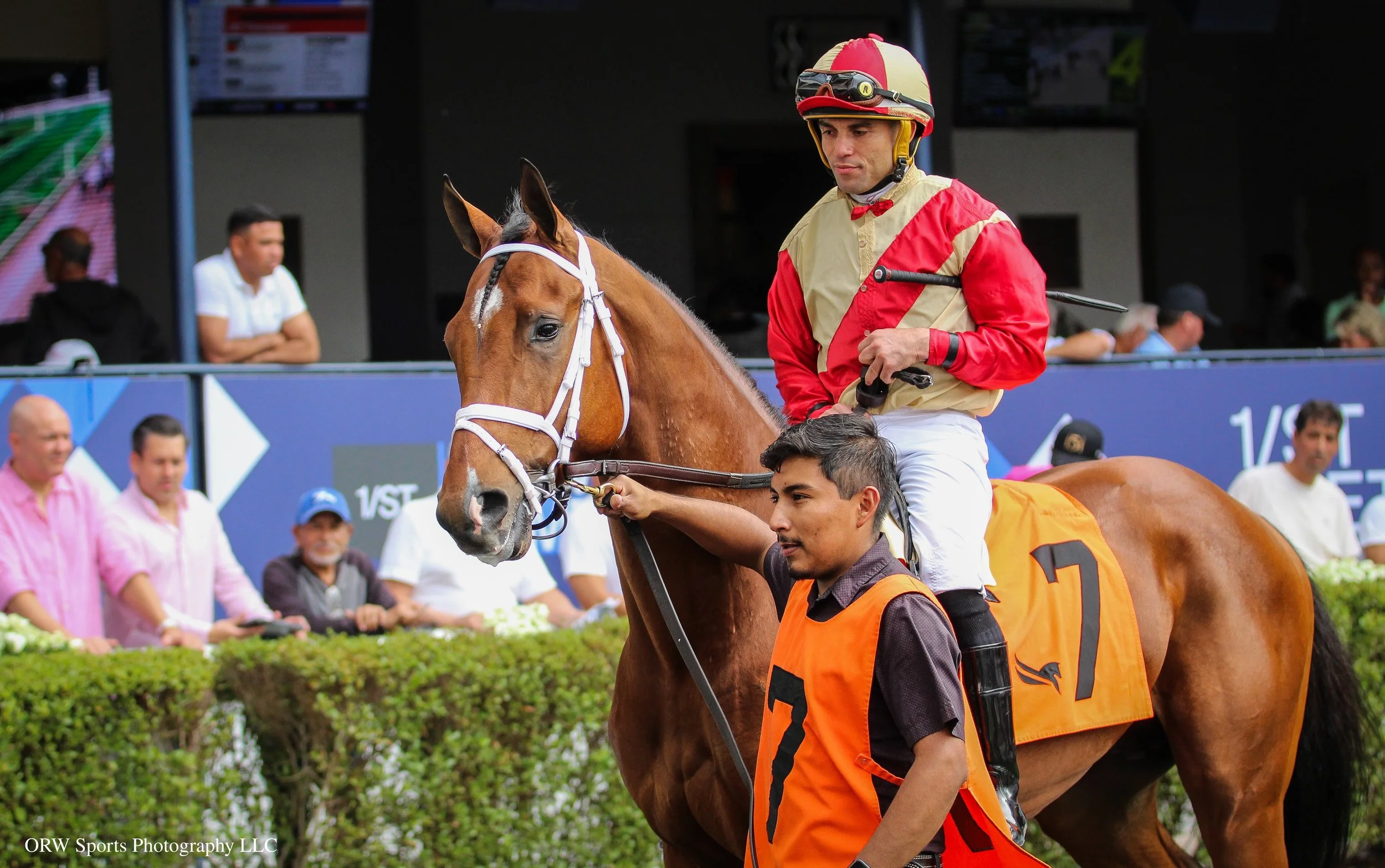 Halogen and Joel Rosario 