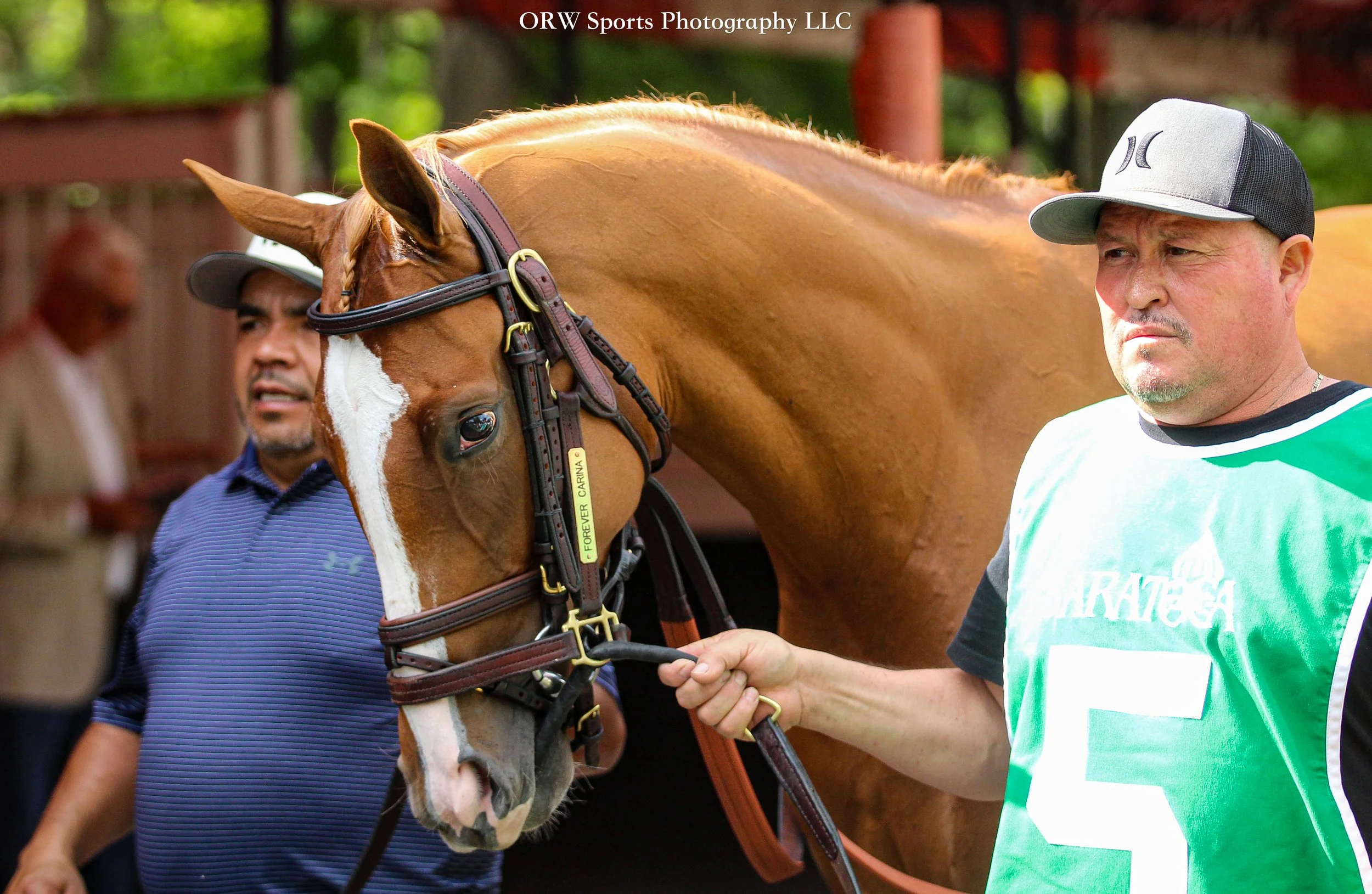 Forever Carina. She is a full sister to 2026 Kentucky Oaks winner Always a Runner. 
(Their parents are Gun Runner and Always Carina, and yes, they do live next to each other in the barn)