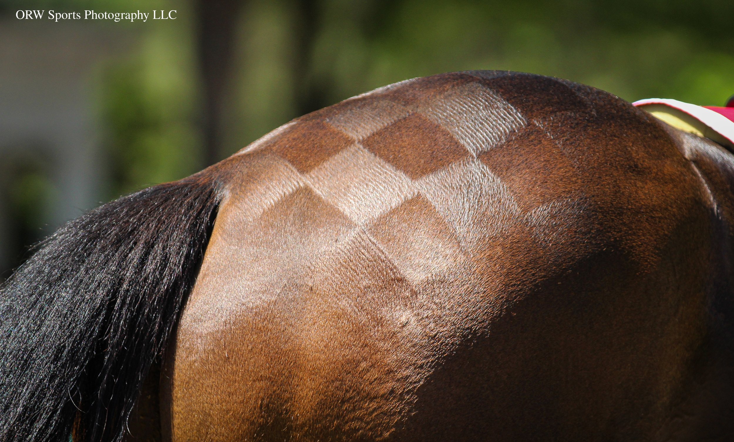 Hip Squares(1).jpg