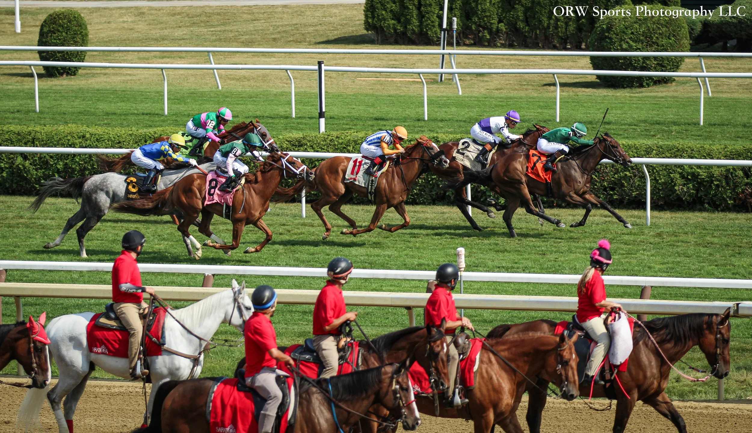 Race 6 