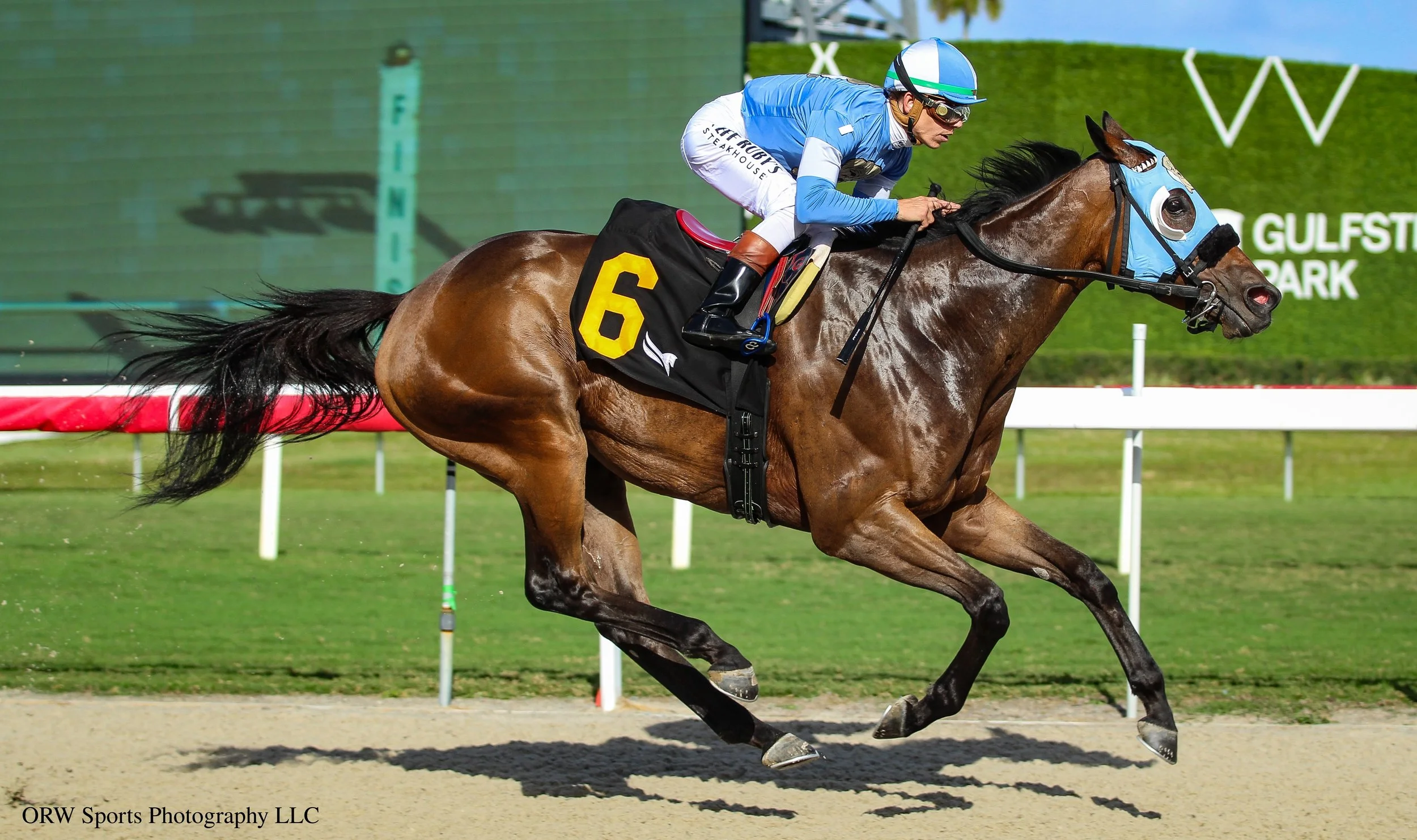 Backonthechaingang and Tyler Gaffalione 