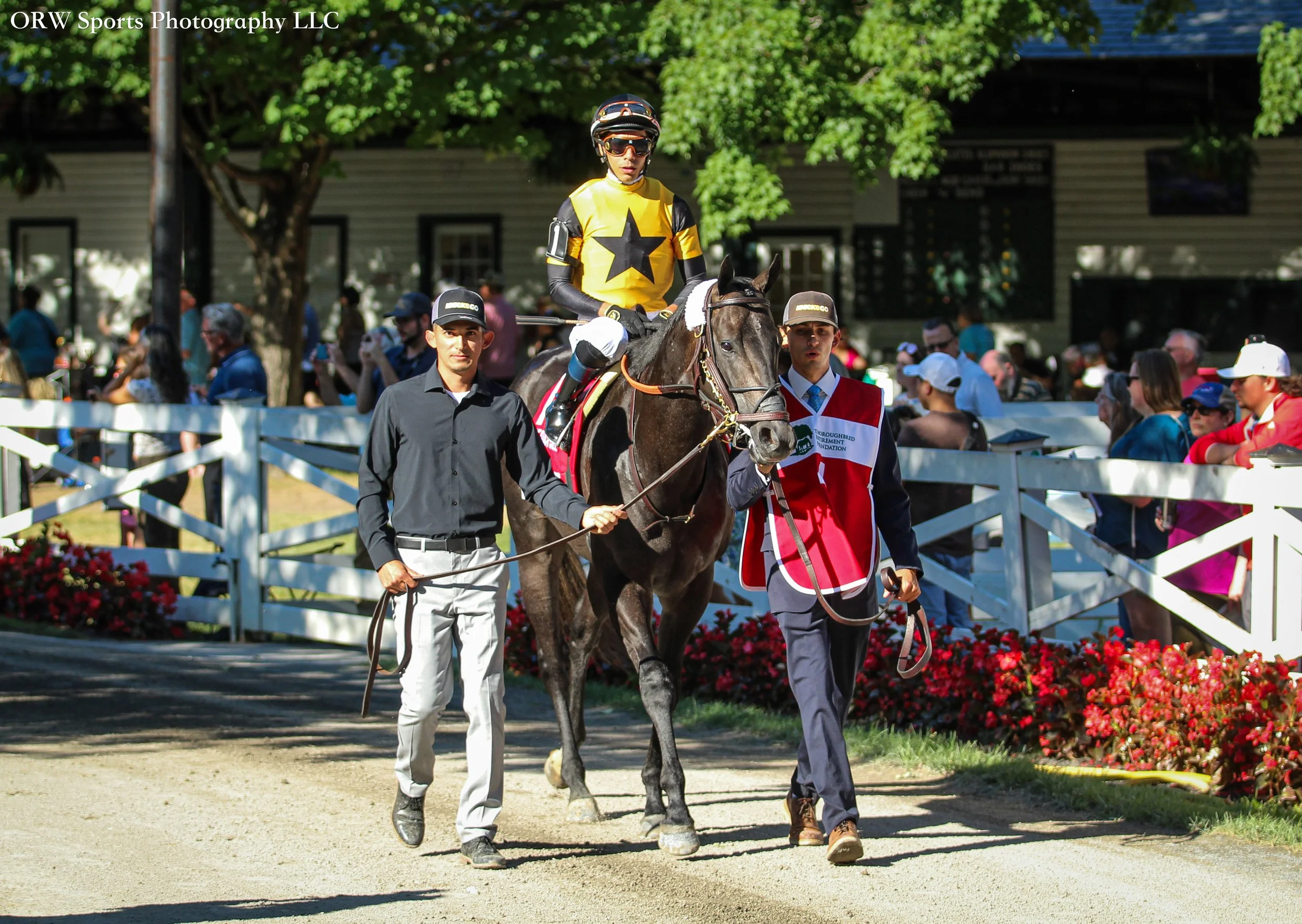 Ewing and Jose Ortiz 