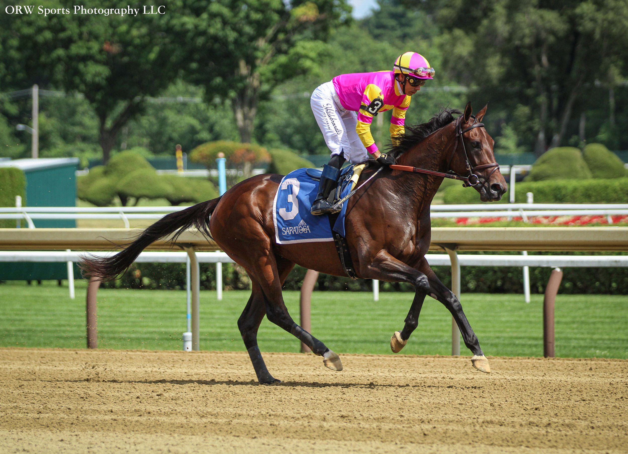 Soaring High and Jose Ortiz (1) .jpg