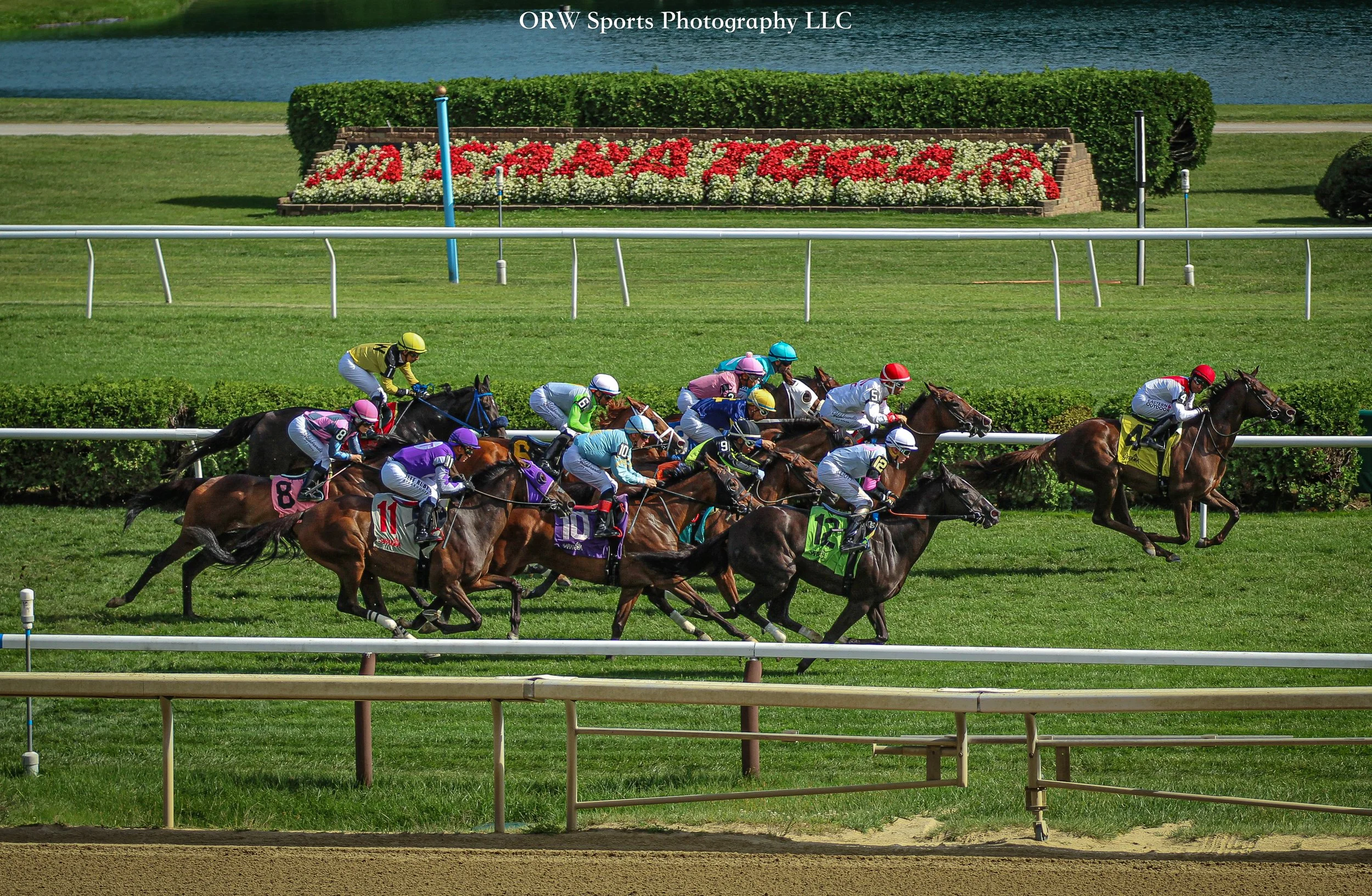 Race 7 
