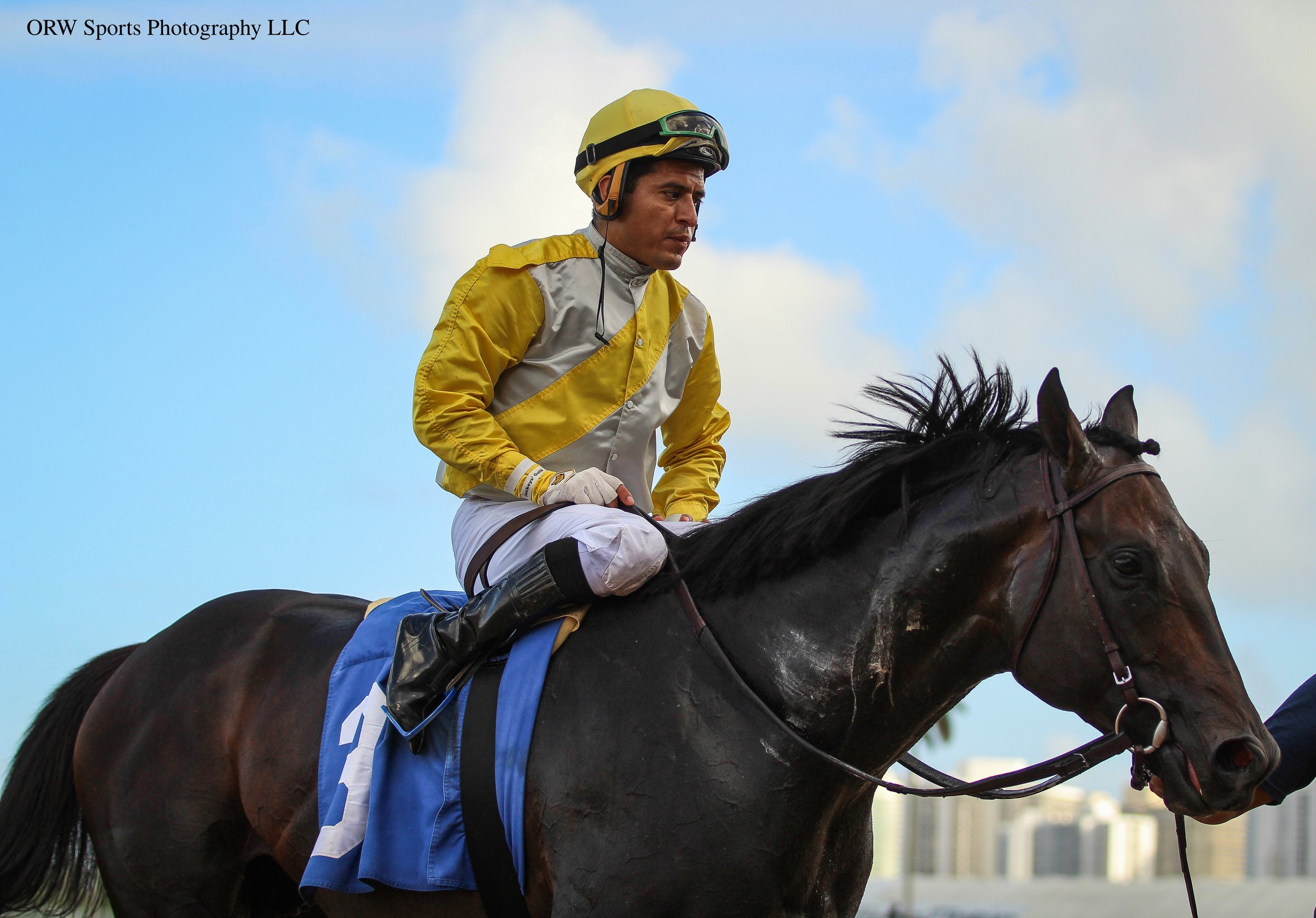 Litigation and Mario Gutierrez (7).jpg