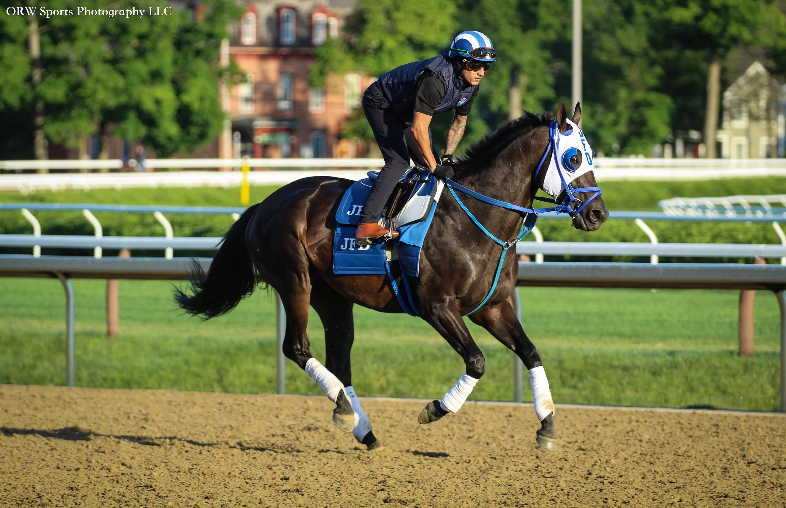 Bentornato. Winner of the 2025 Breeders Cup Sprint 