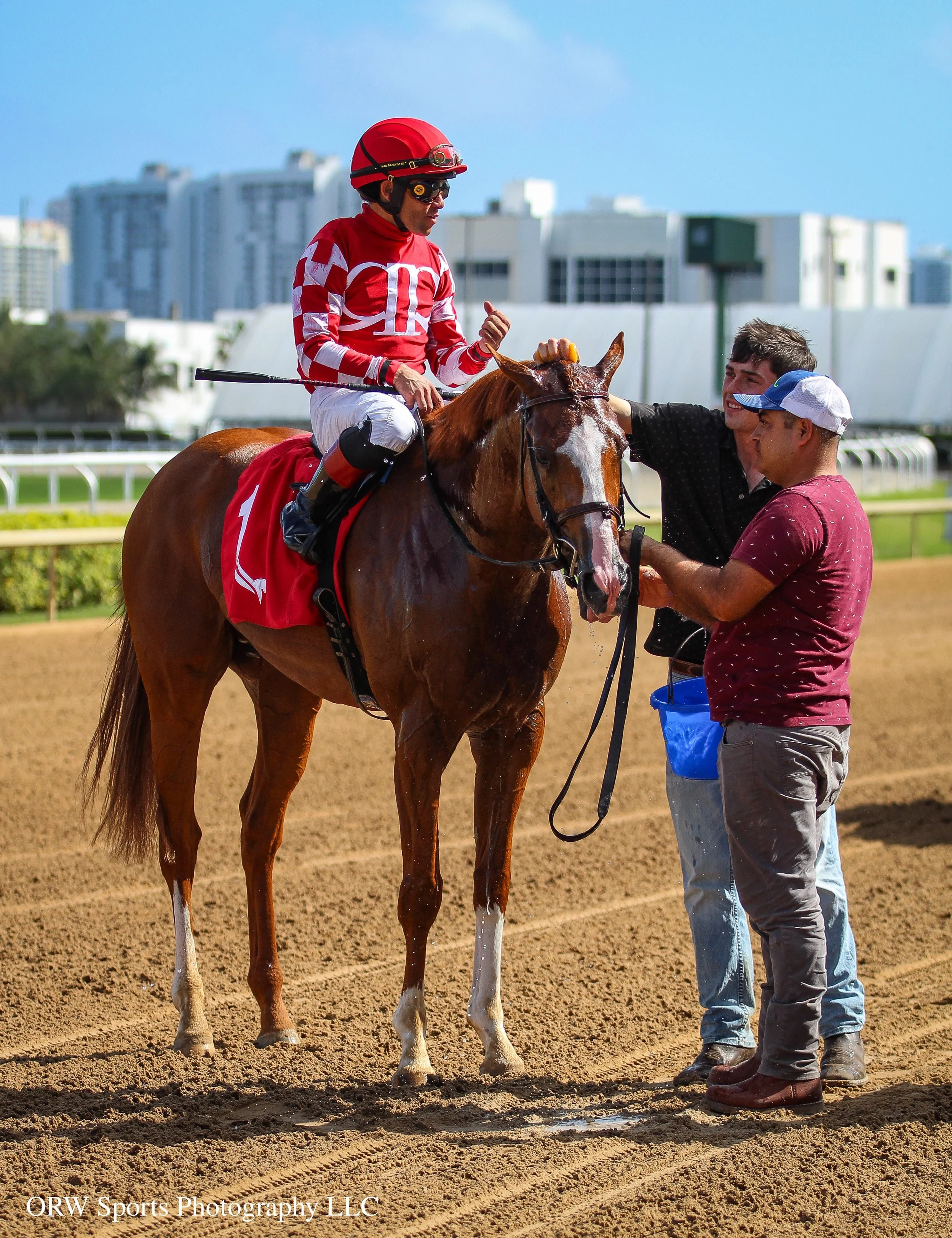 Fancy Sailor and Connections (2).jpg