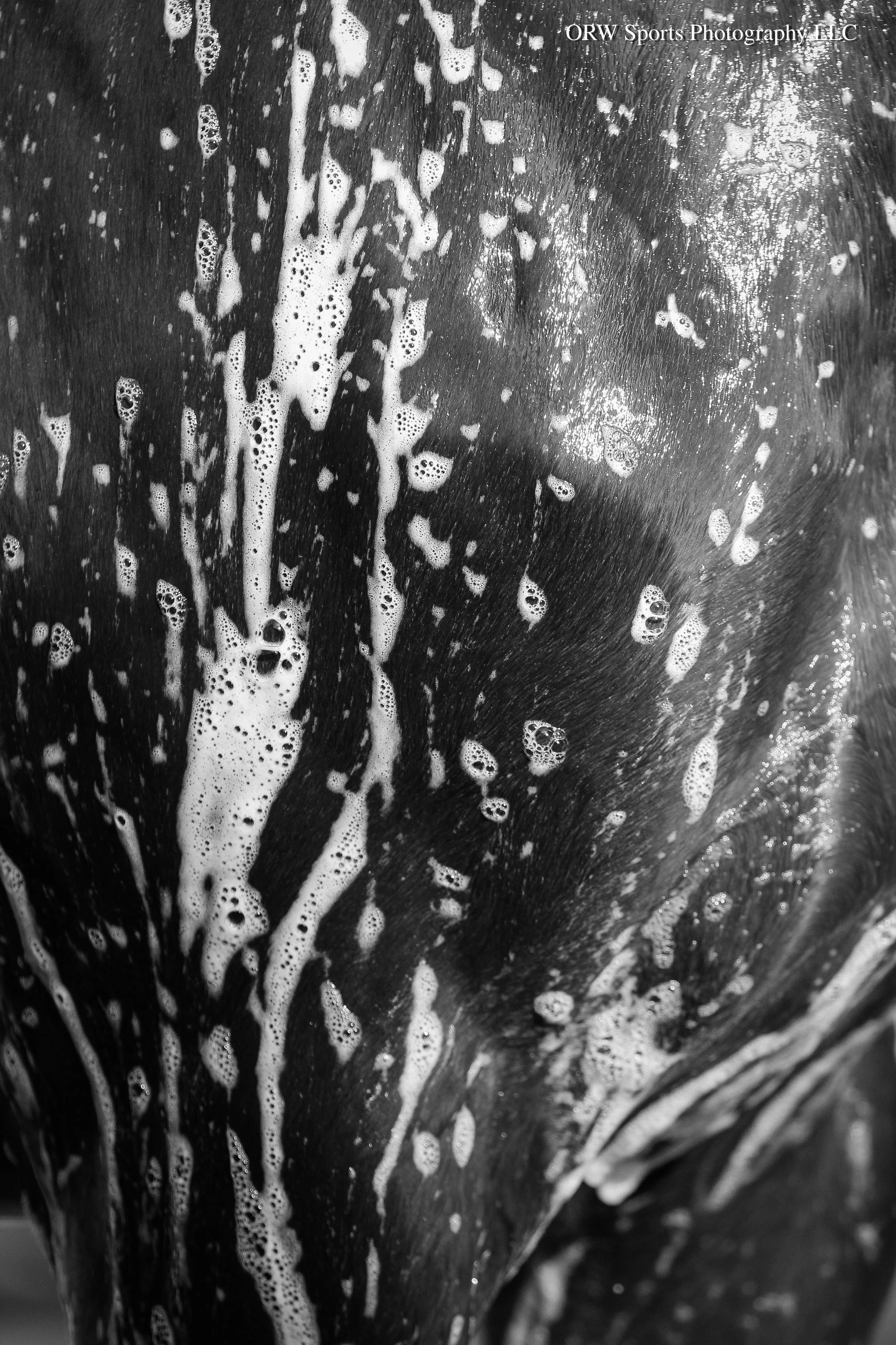 Bubbles (2).jpg