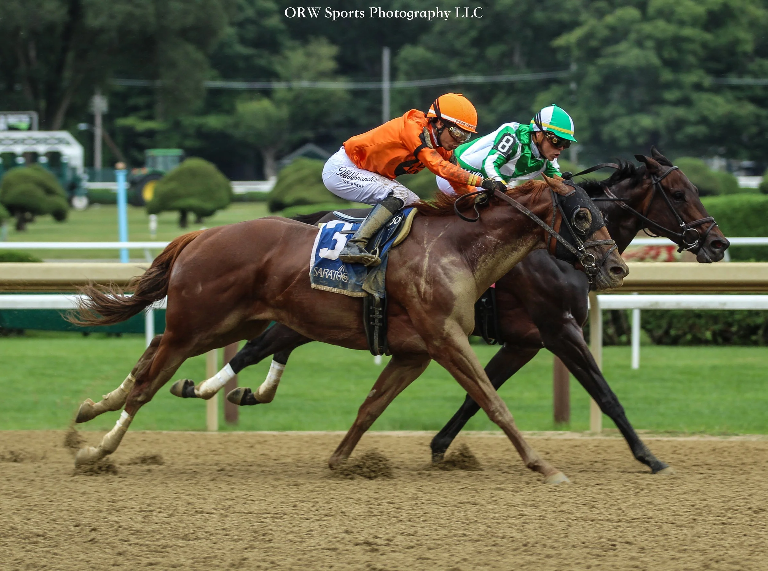 Music in Motion vs Modest Maclean. The two Linda Rice-trained colts, both by Maclean's Music, and both ridden by the Ortiz brothers, battle it out in race 6. 