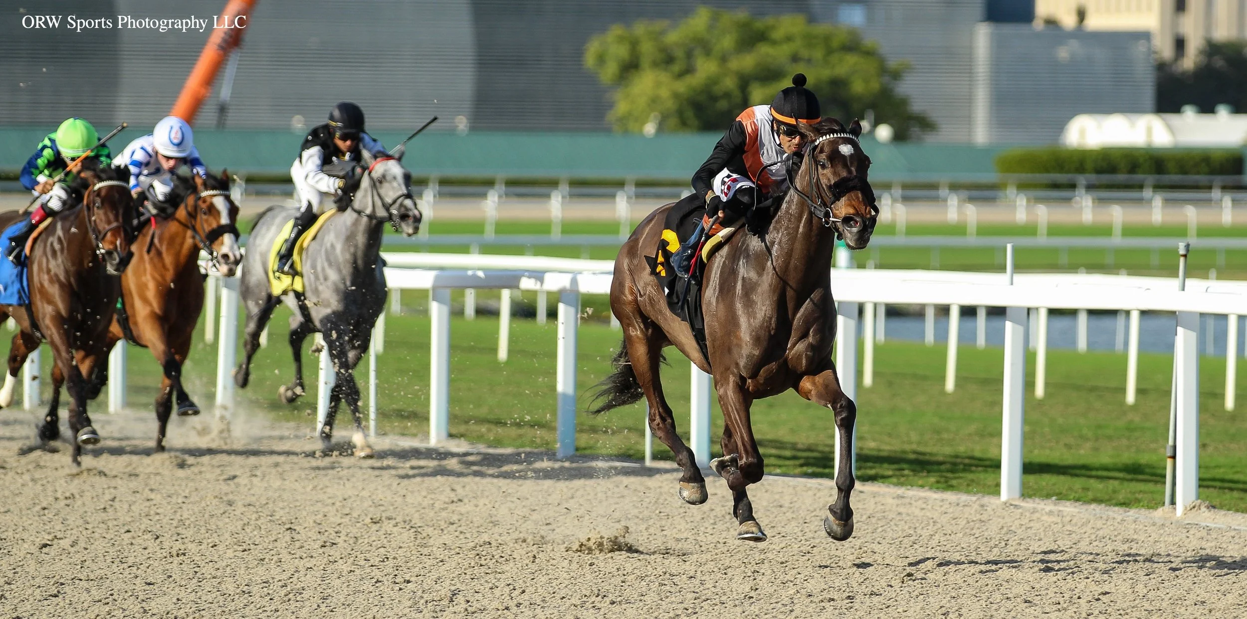 Reagan's Flame leads.jpg