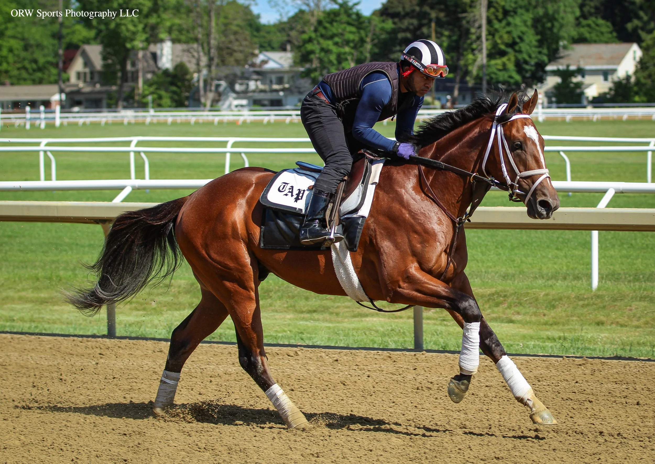 Pletcher Trainee