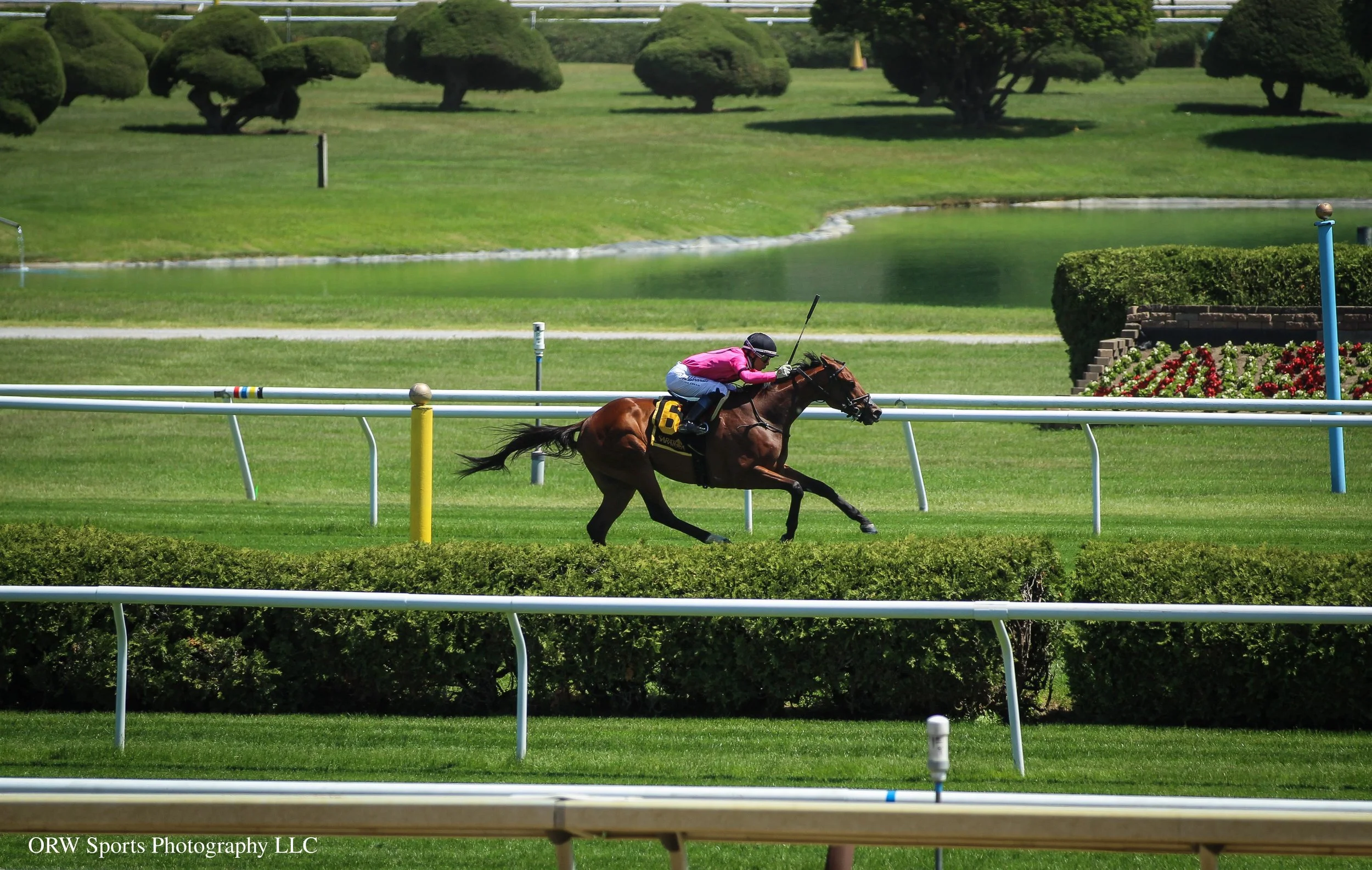 Mi Bago wins the Kingston Stakes under Jose Ortiz