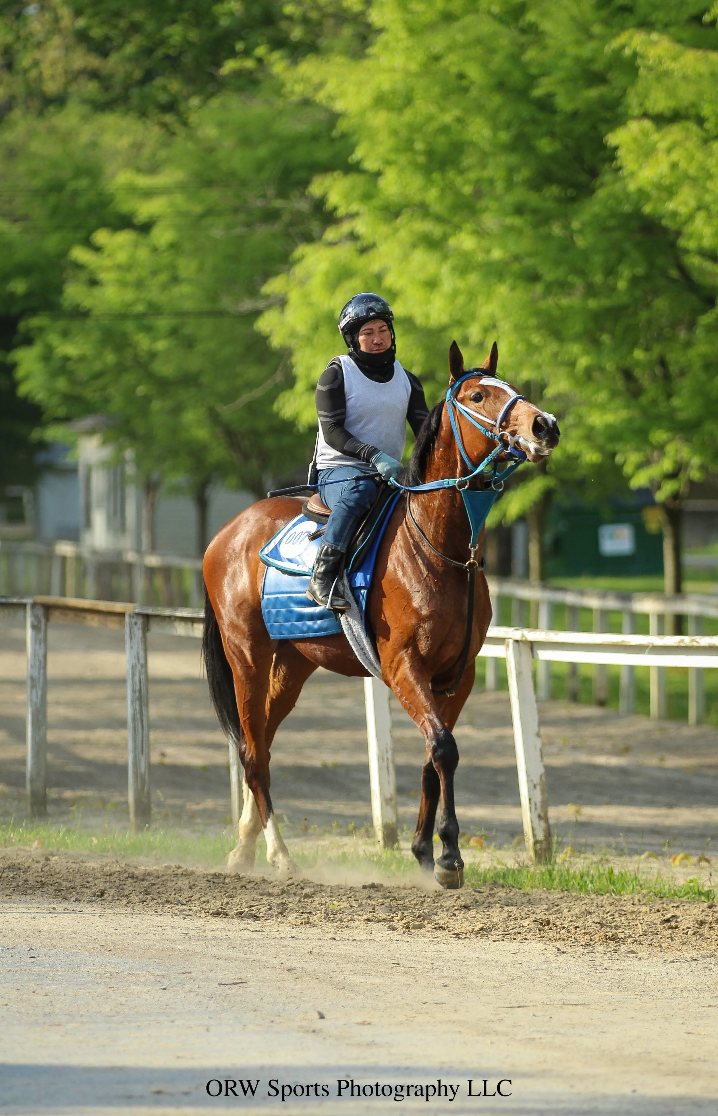 Tiz Justice