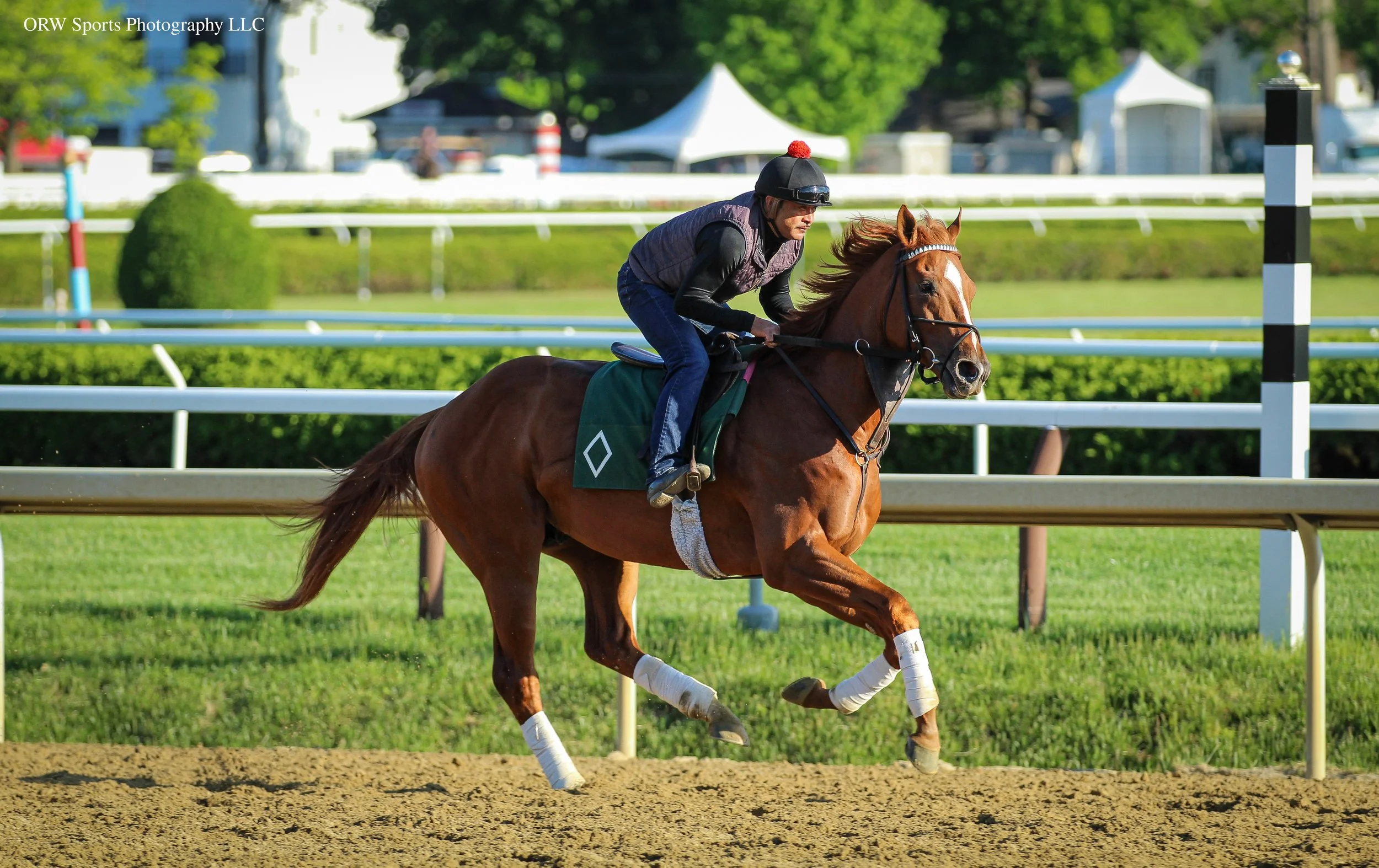 Gilded Bandit. He will be making his next start in the Grade 1 Woody Stephens Stakes on June 6th 