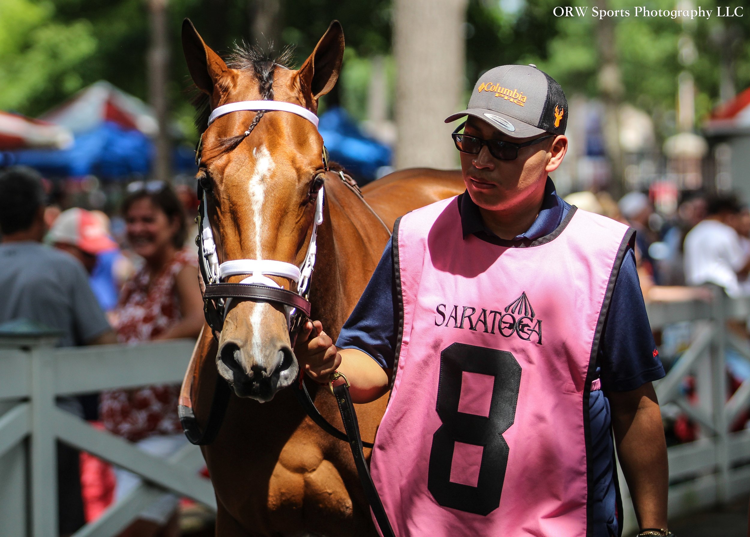 Life Changing. The filly by MG1W and Eclipse Champion Life is Good was a $1.025m purchase by Repole Stable and is also a half-sister to 2024 Preakness Stakes winner Seize the Grey. 