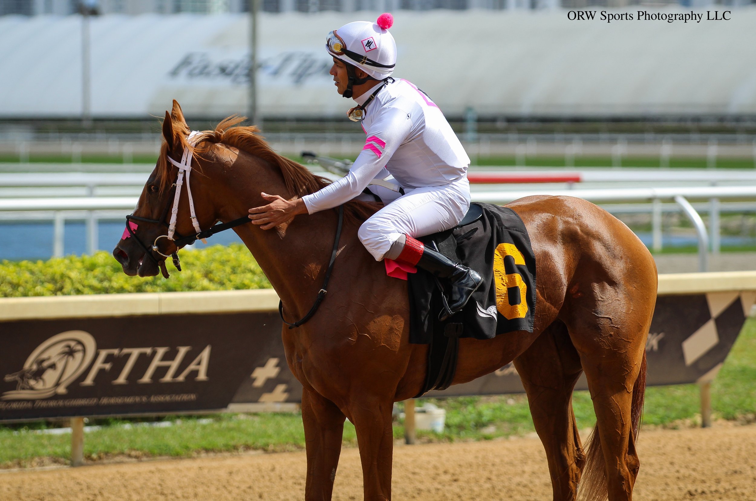 Oscar Bound and Shaun Bridgmohan (7).jpg