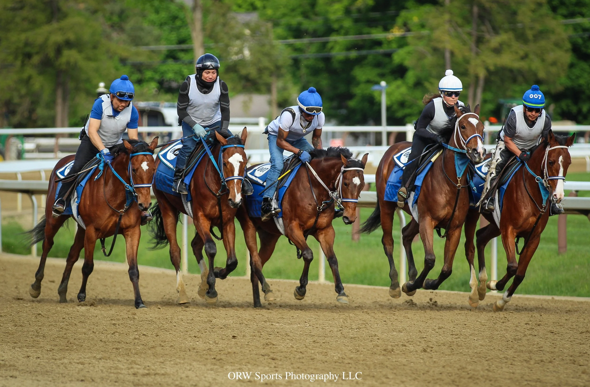 The Baby Fillies.jpg