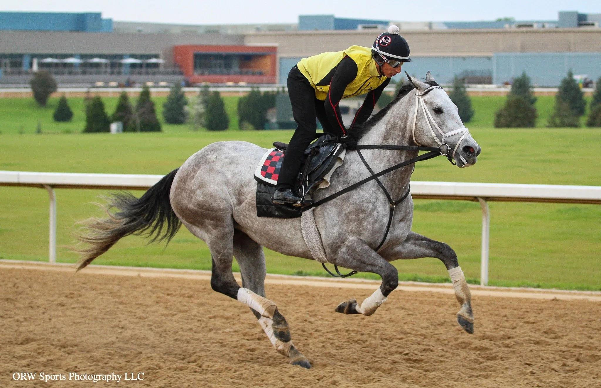 Echo Again - trained by Norm Casse. He will run in the American Phoroah Stakes on Saturday 
