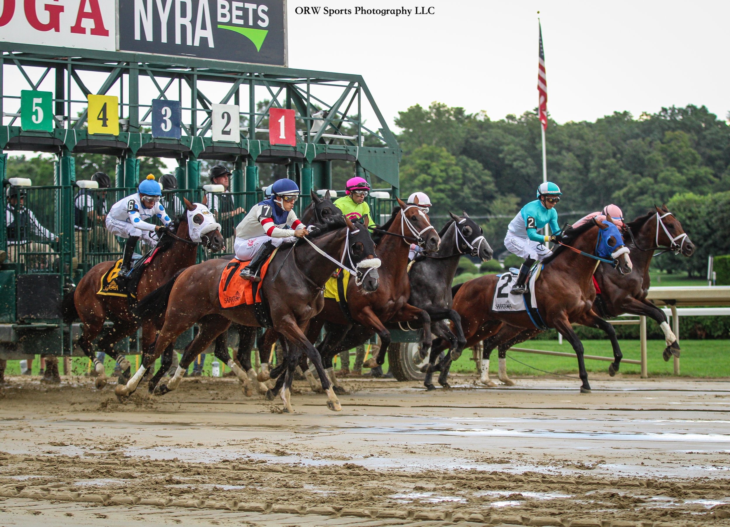 And they're off in the Albany Stakes 