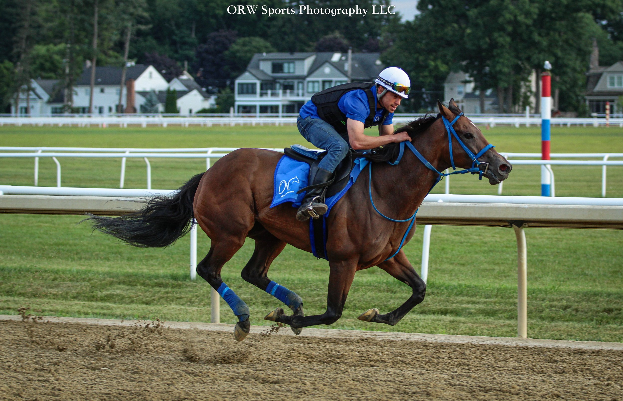 Orlando Noda Trainee