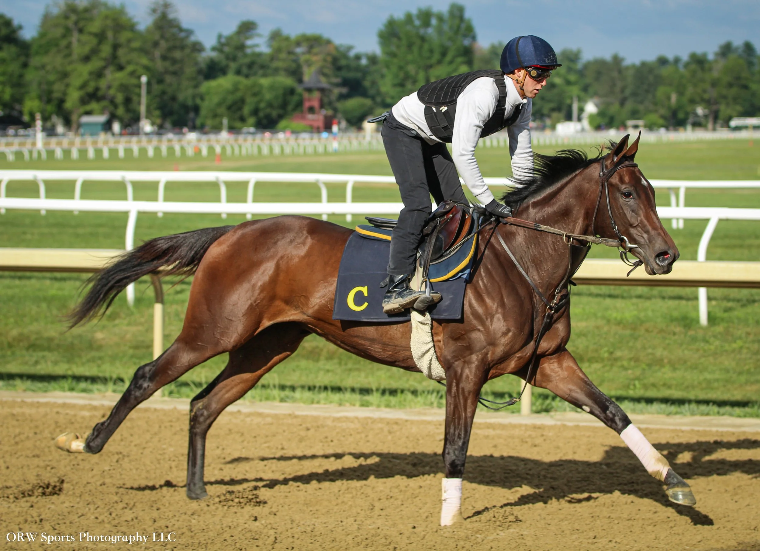 Miguel Clement Trainee