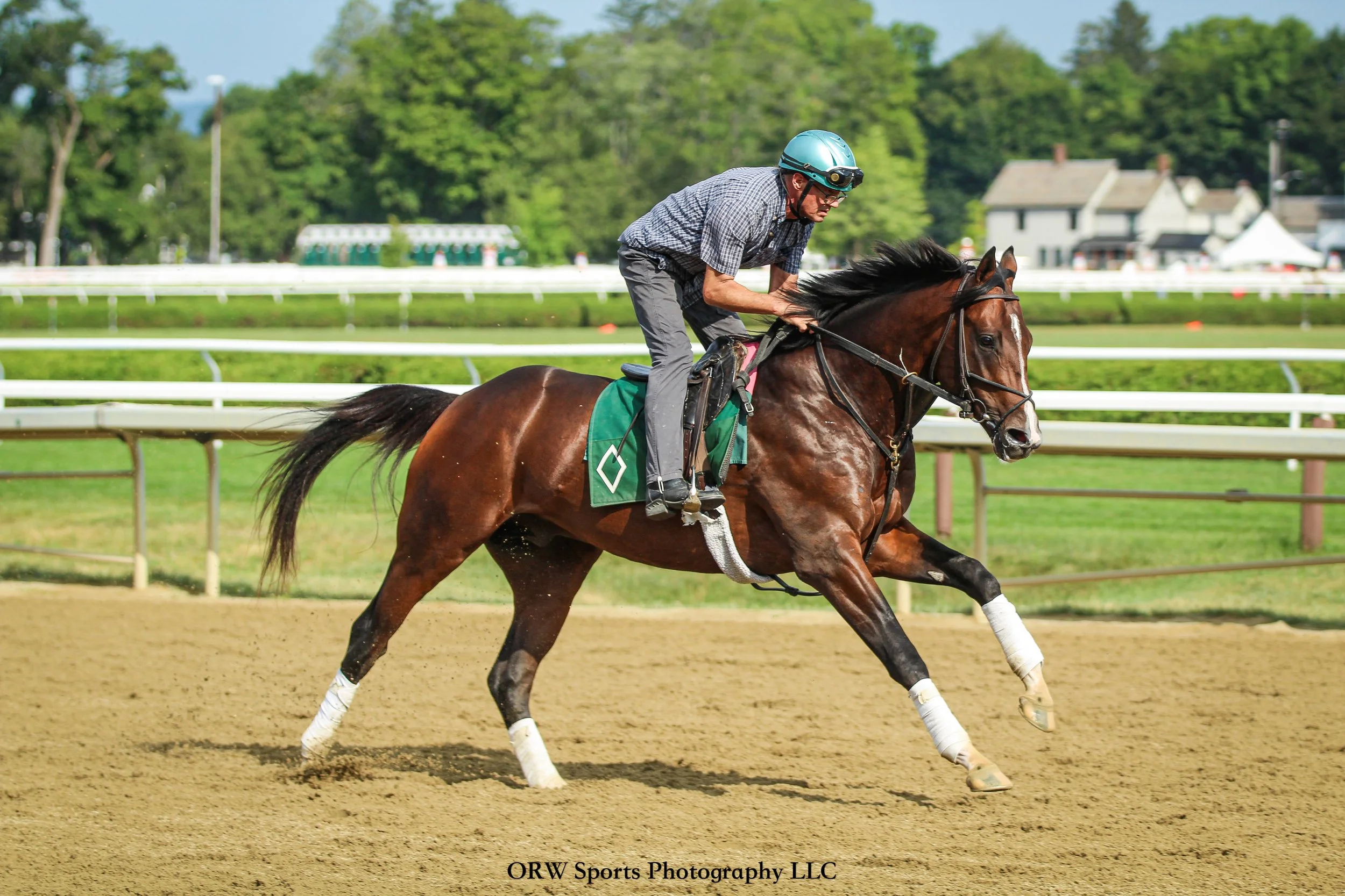 Mott Trainee (6) .jpg