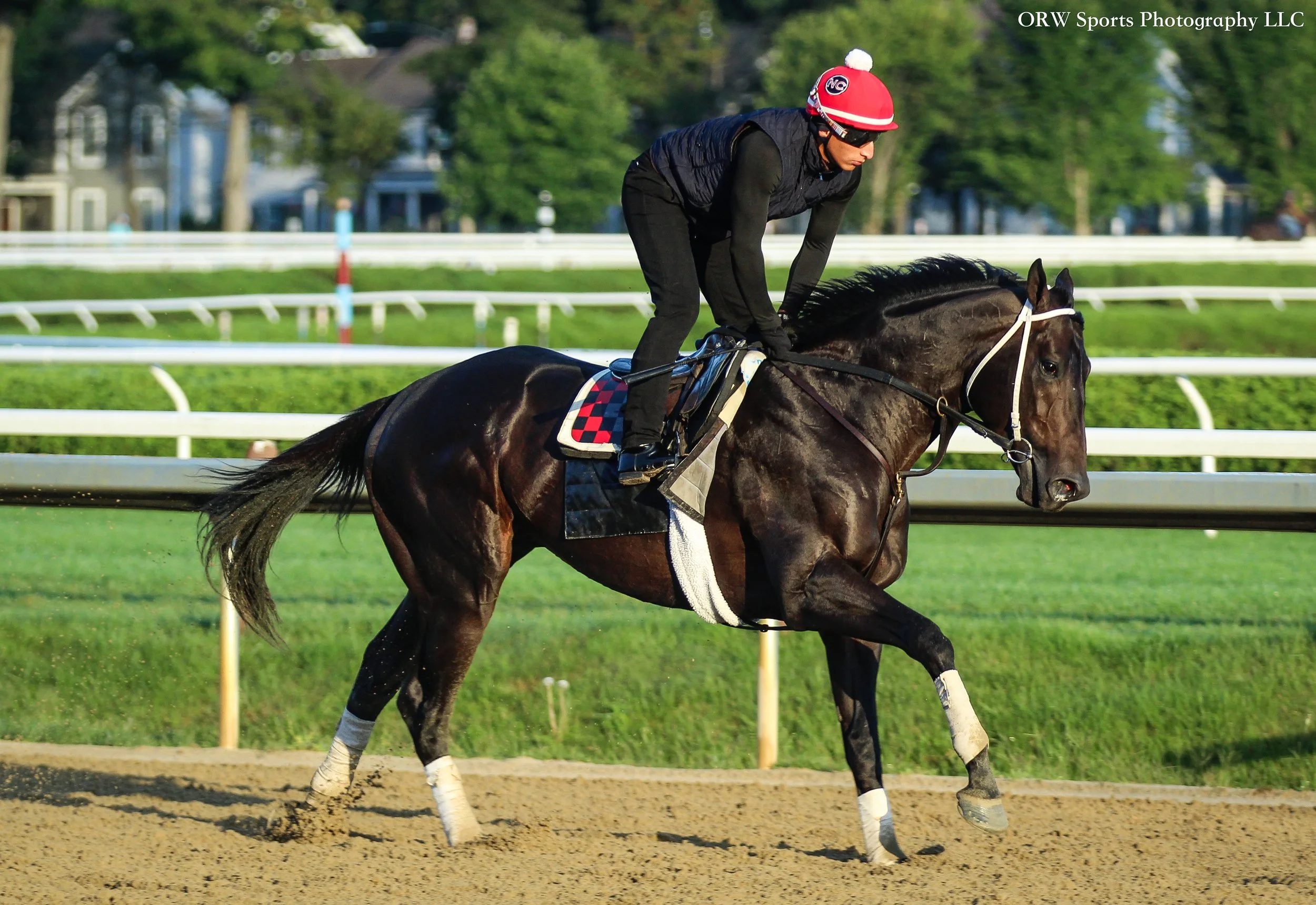 Norm Casse Trainee
