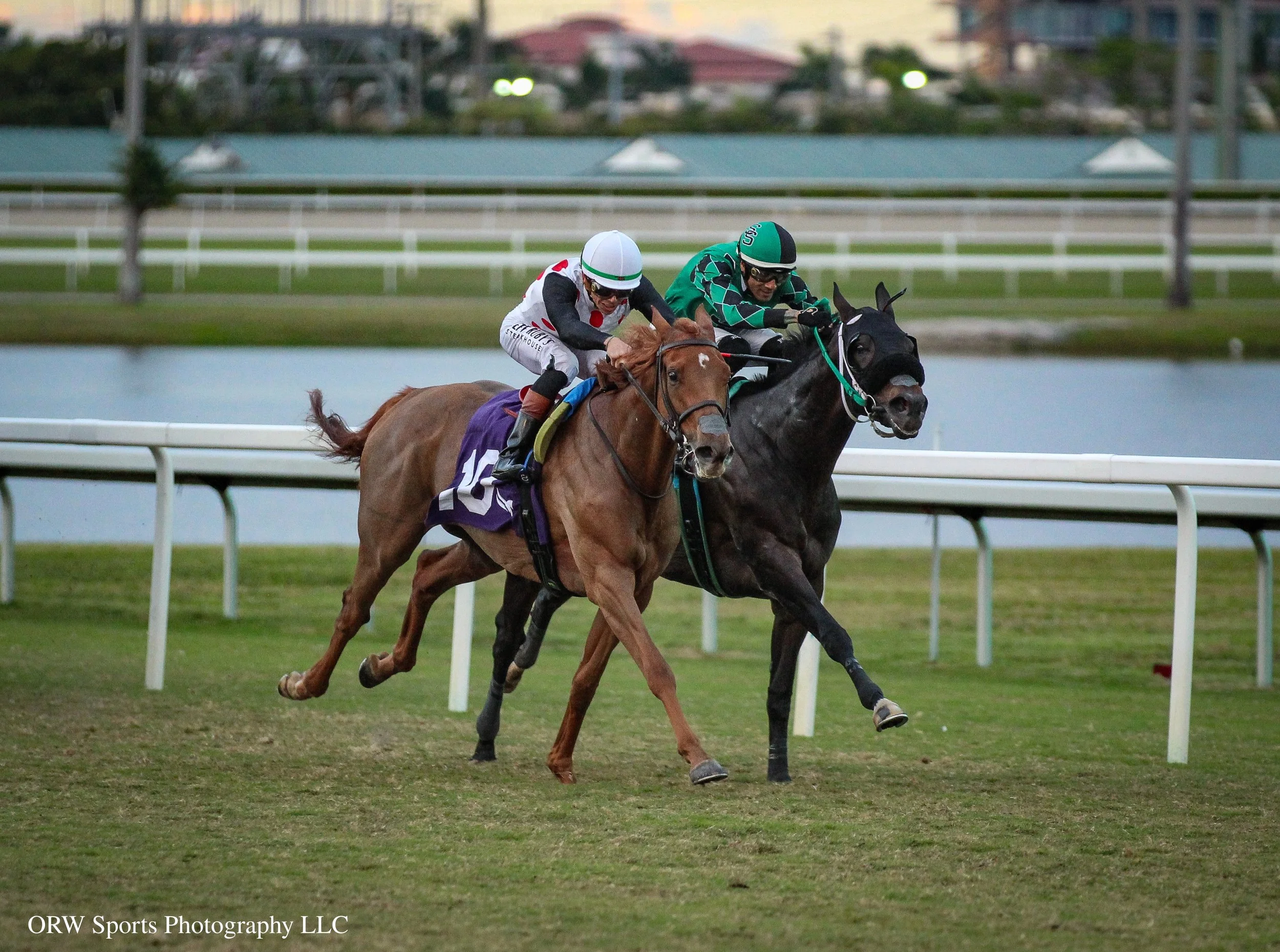 Souper Zonda vs Rugelach in the Sunshine Filly and Mare Turf Stakes 