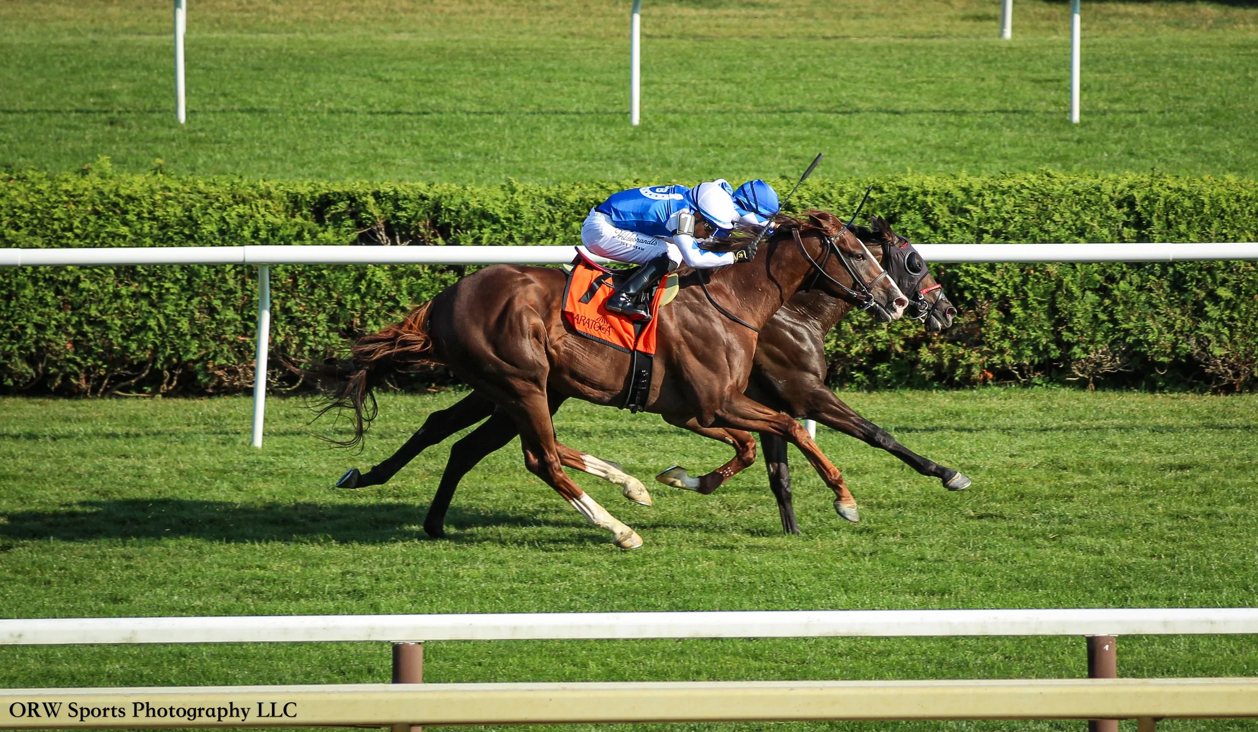 Chummers holds on to a narrow lead and wins the Rick Violette Stakes for trainer Ray Handal