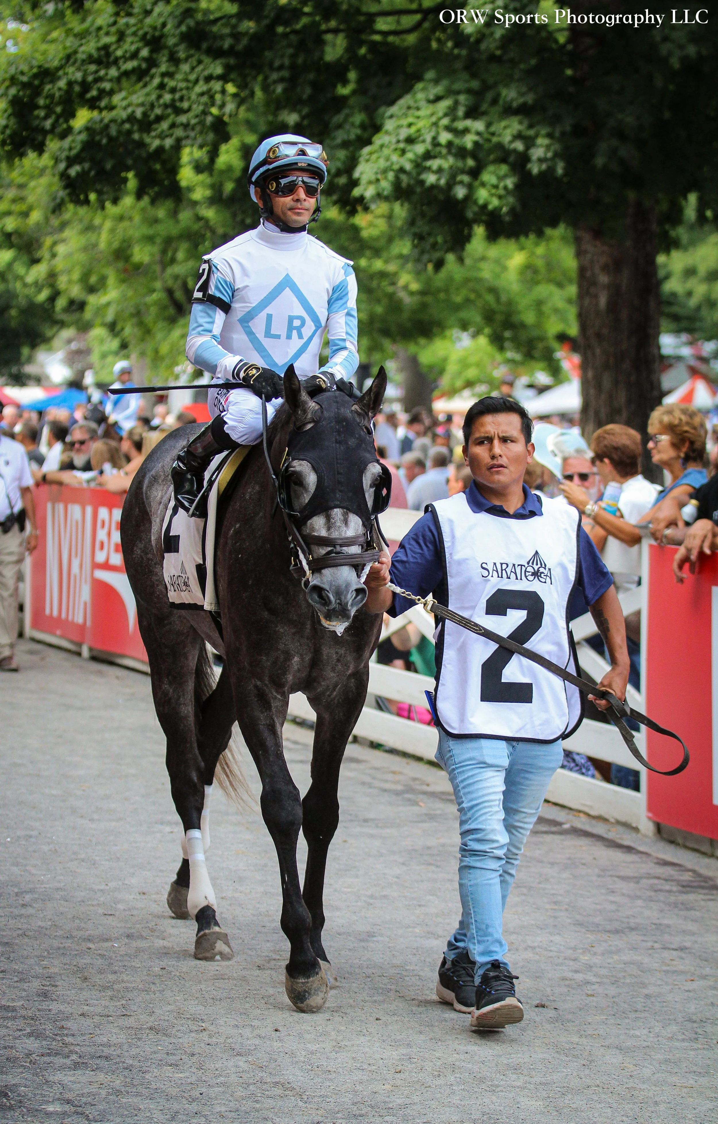 Bite and Strike and Jose Lezcano 