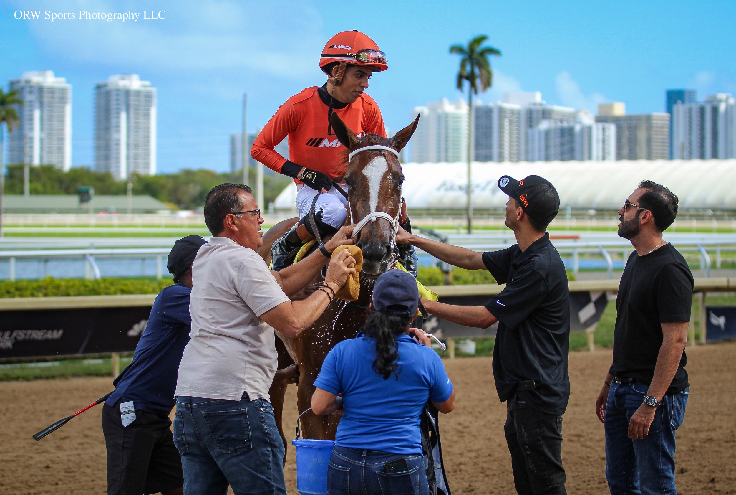 Dirty Diana and Connections.jpg