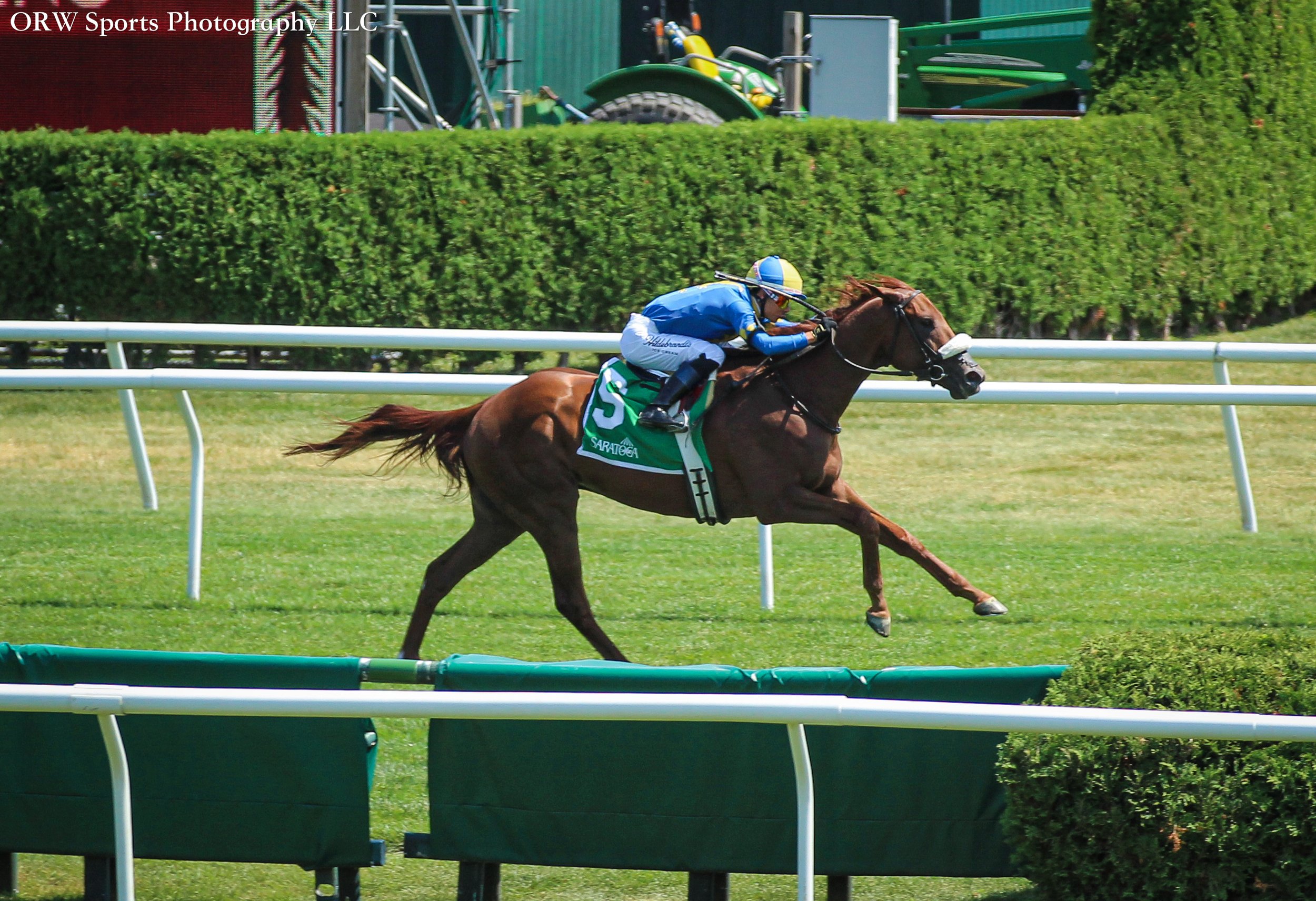 Inspeightofcharlie and Jose Ortiz 