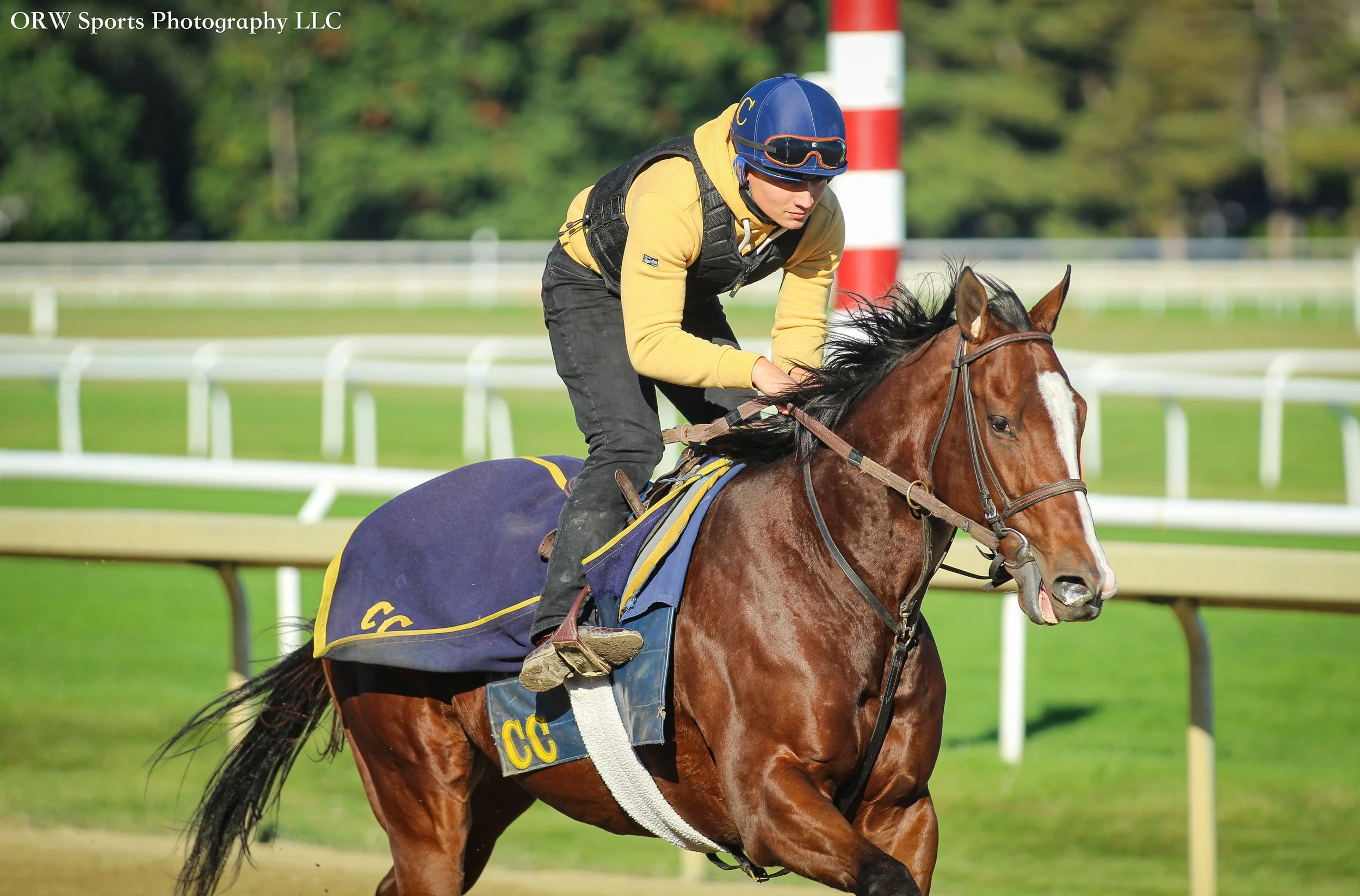 Miguel Clement Trainee