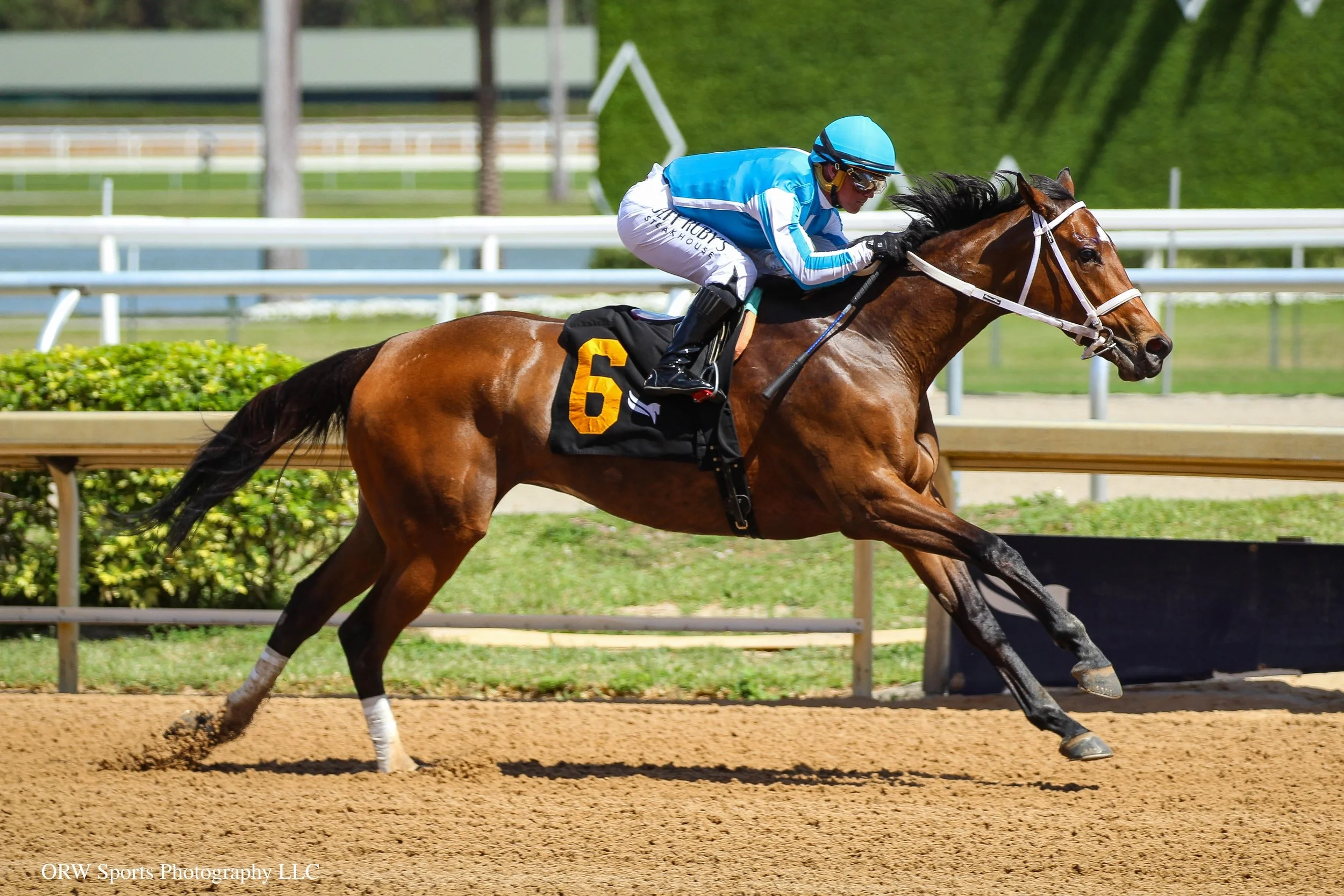Alongcomesawoman and Javier Castellano (5).jpg