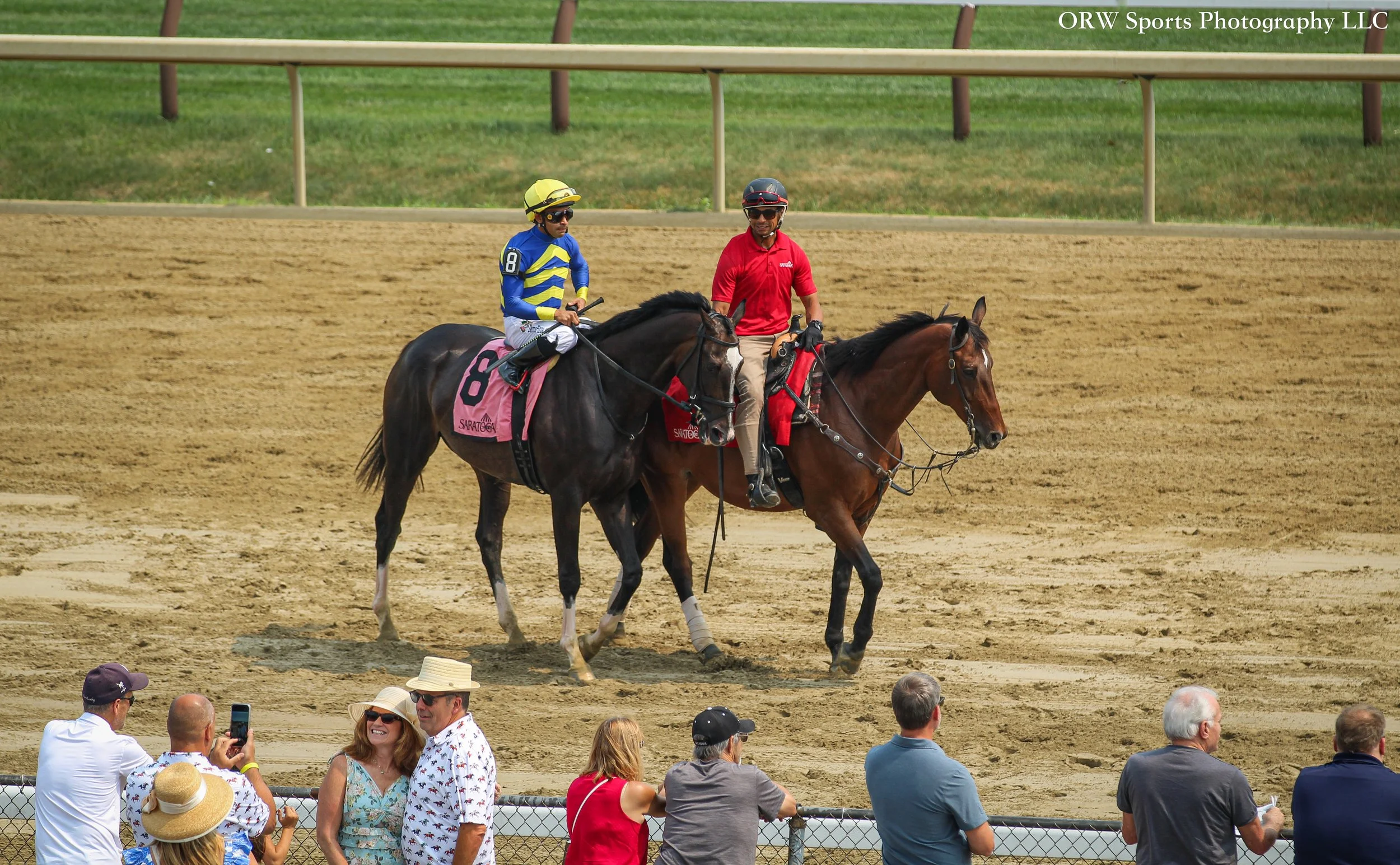 Minotaur and Luis Saez 