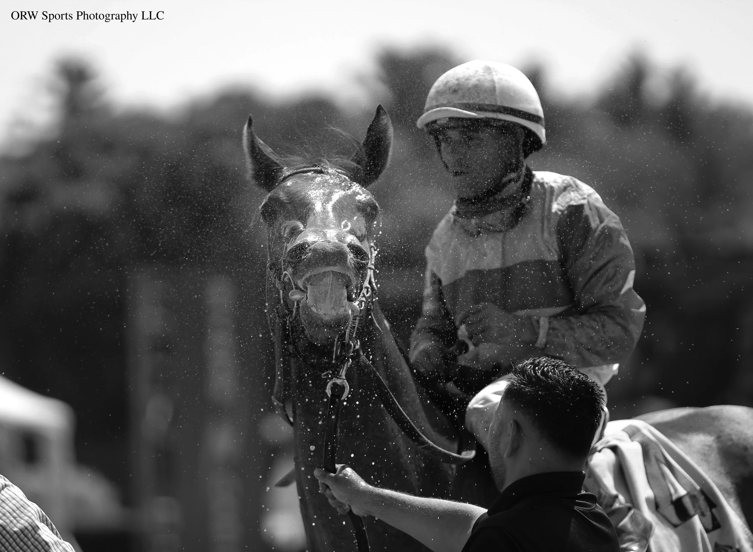 Five Bars (BW) (2).jpg