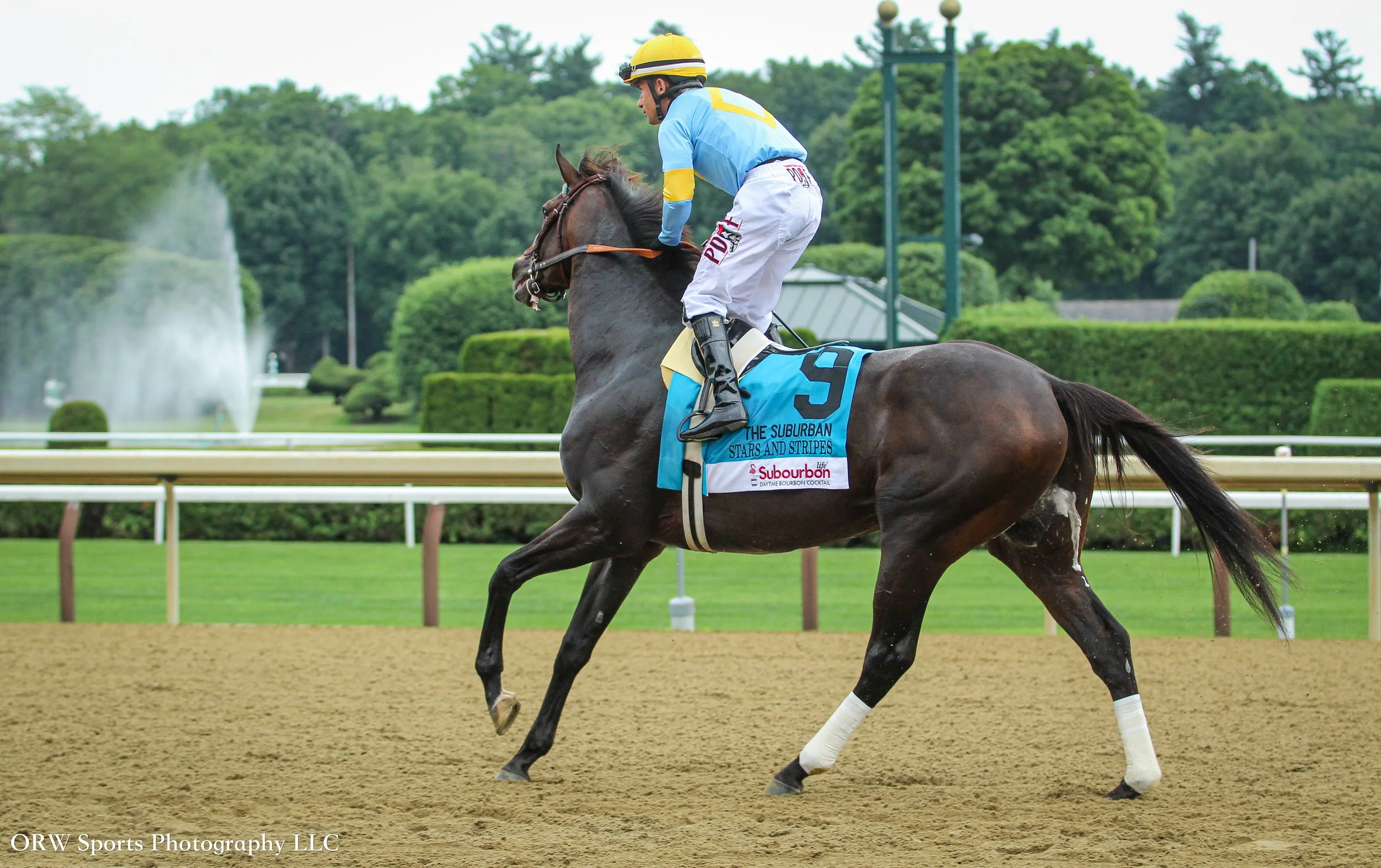 Stars and Stripes and Junior Alvarado .jpg