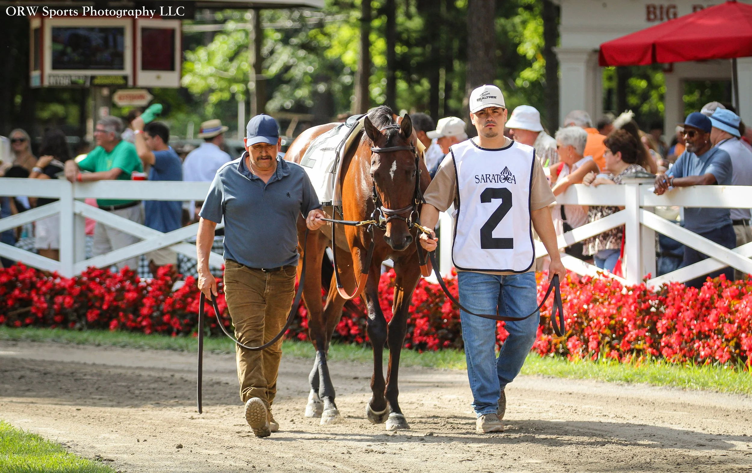 Card Man 