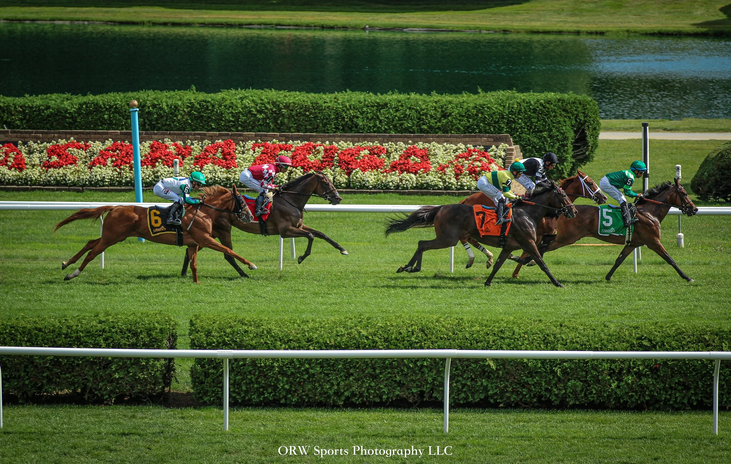 The P.G. Johnson Stakes 