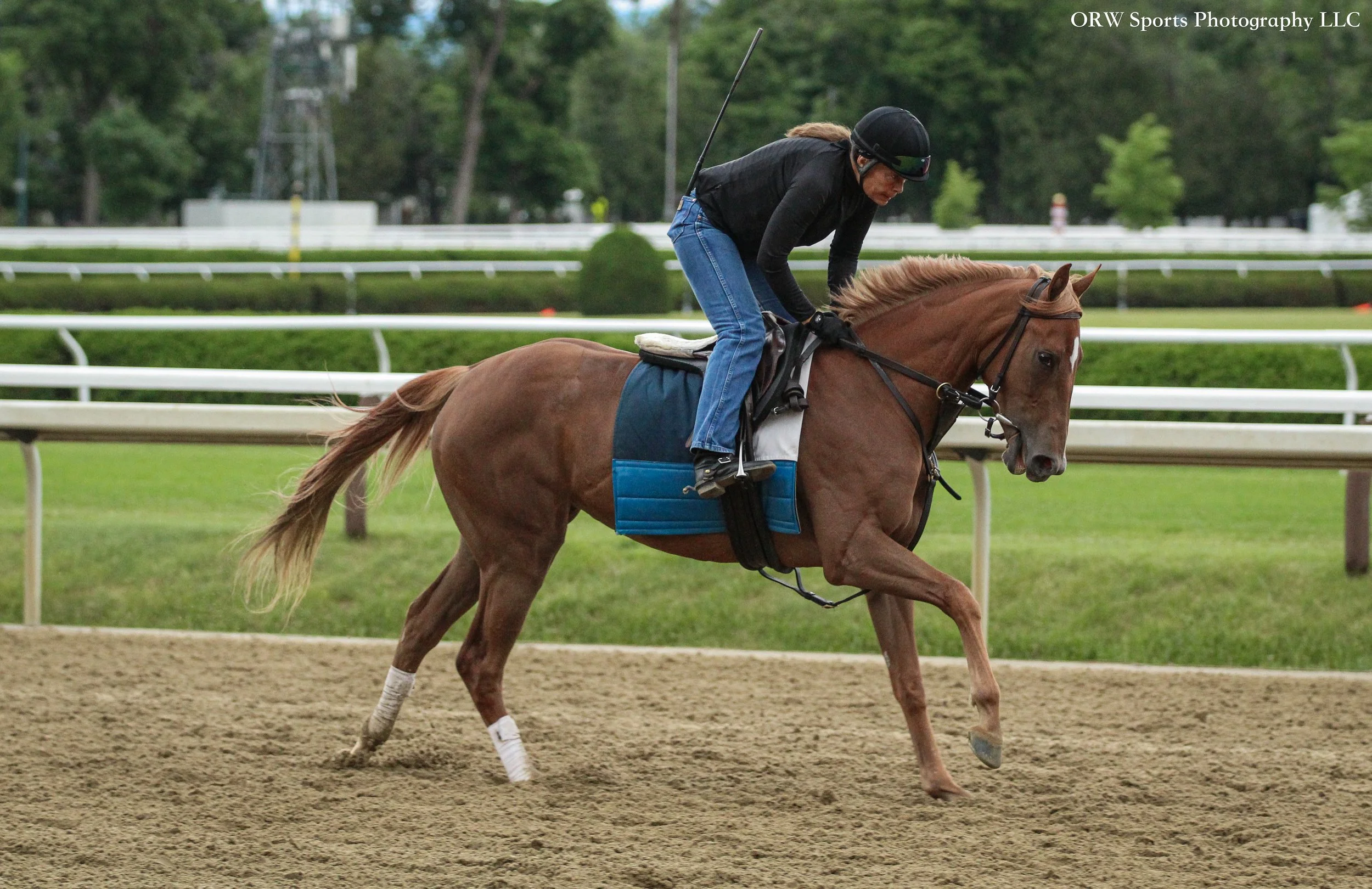 Lisa Bartkowski Trainee