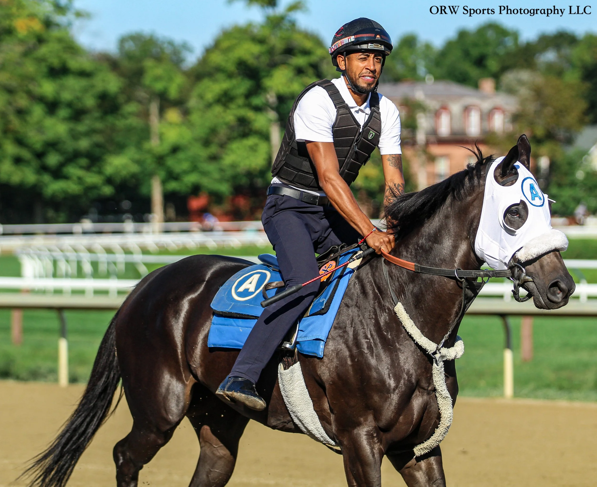 Fernando Abreu Trainee 