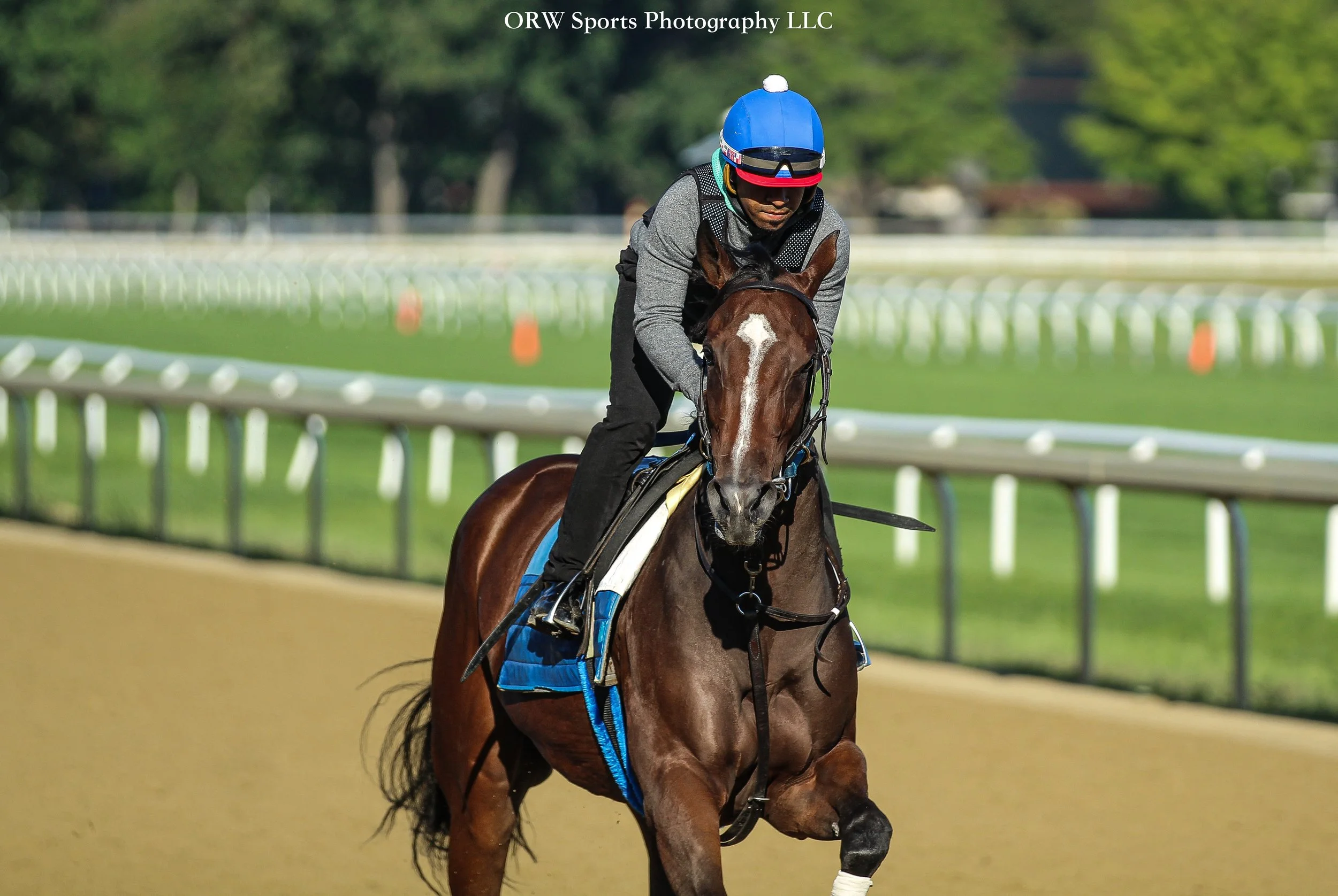 Asmussen Trainee (12) .jpg