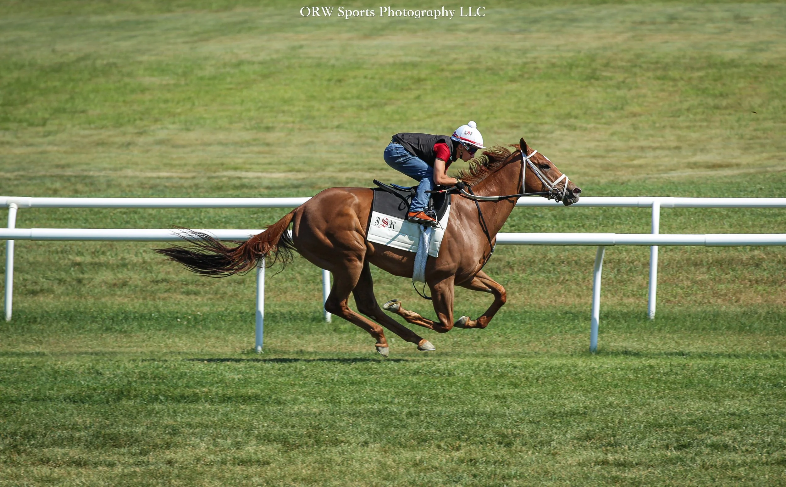 She's a filly that loves the grass