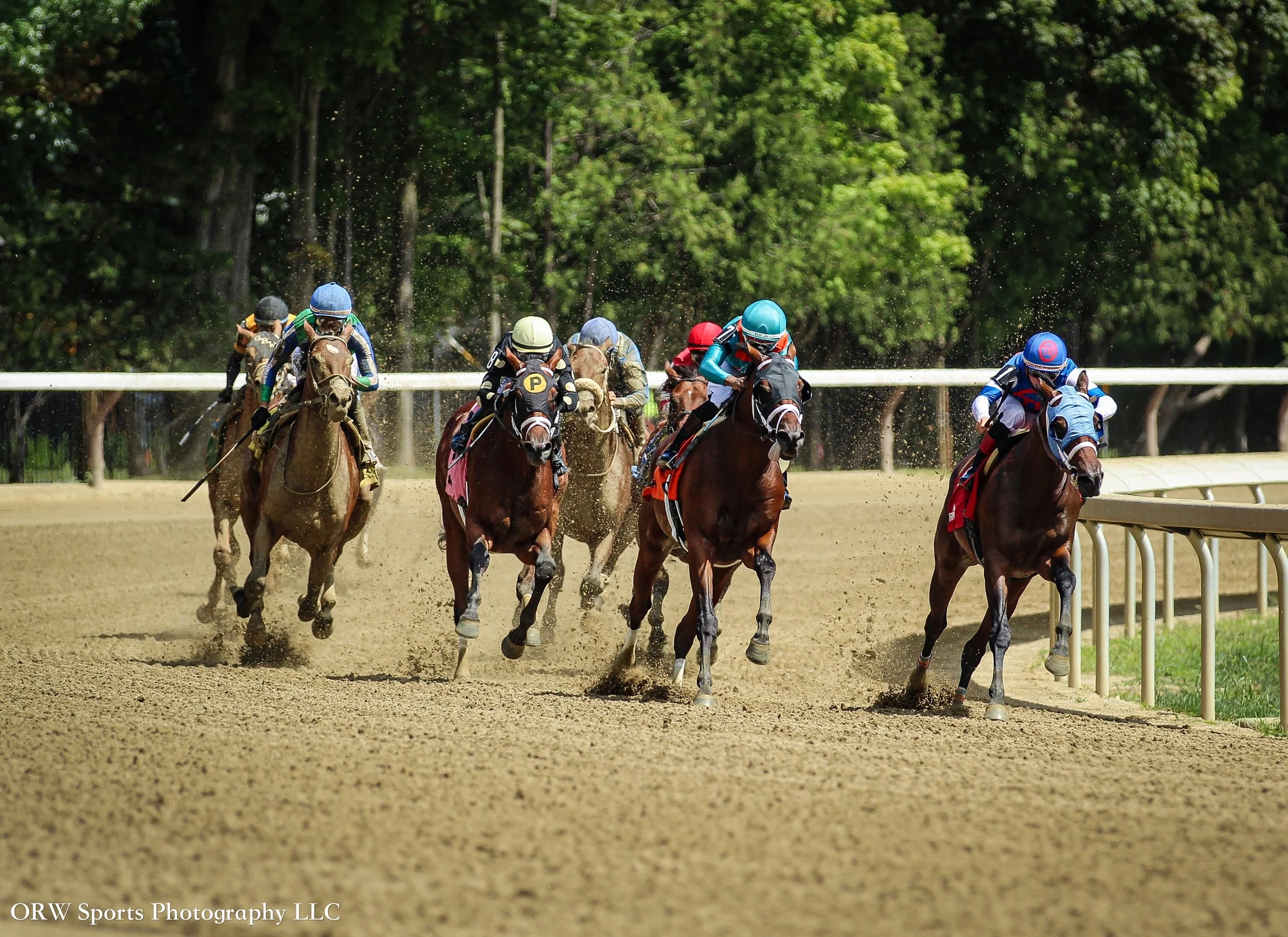Race 3 